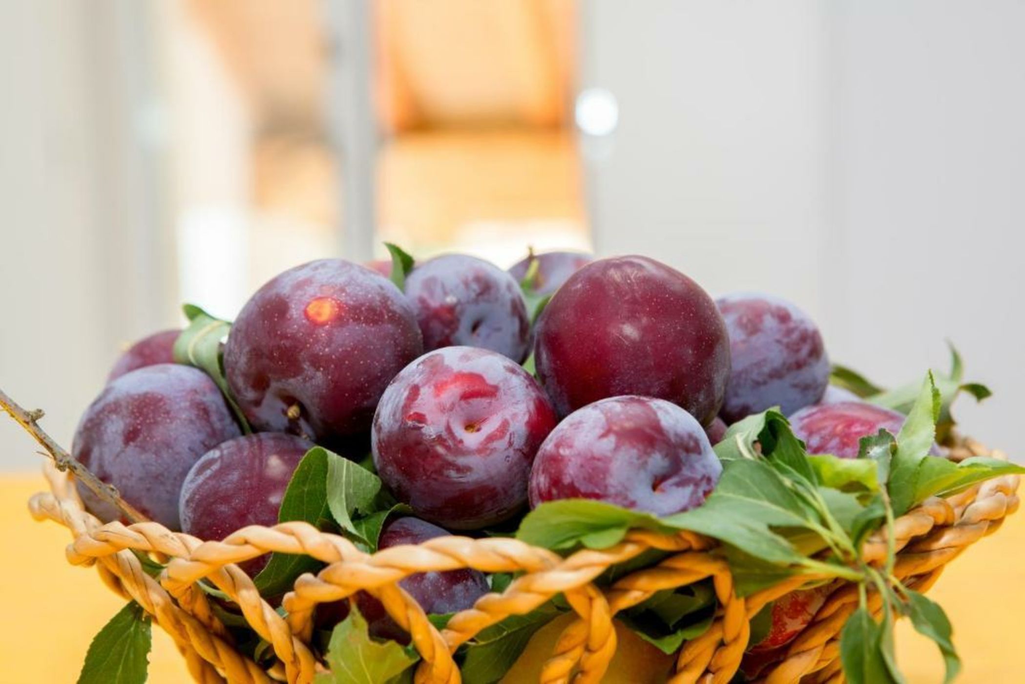 Monte das Texugueiras