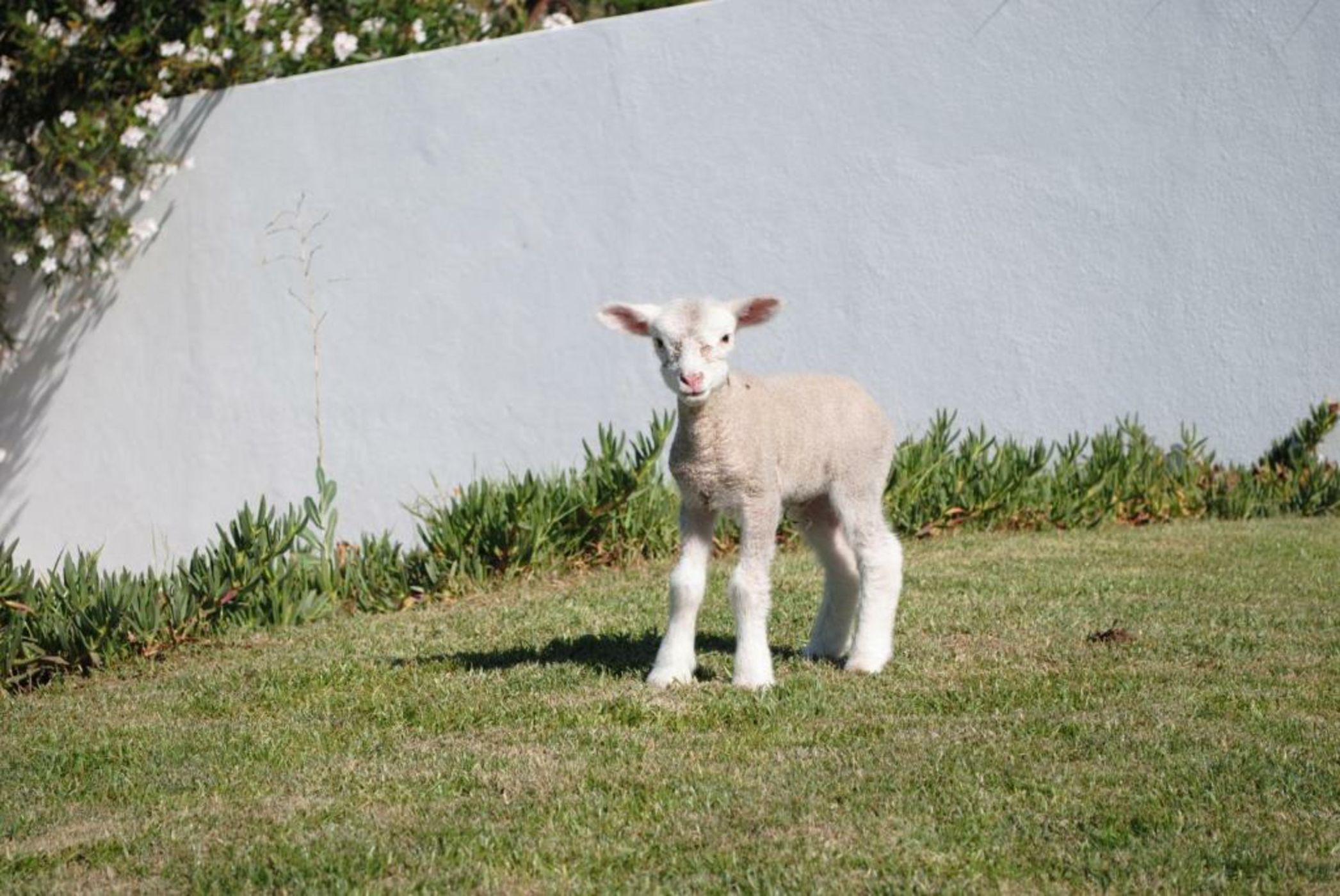 Monte das Texugueiras