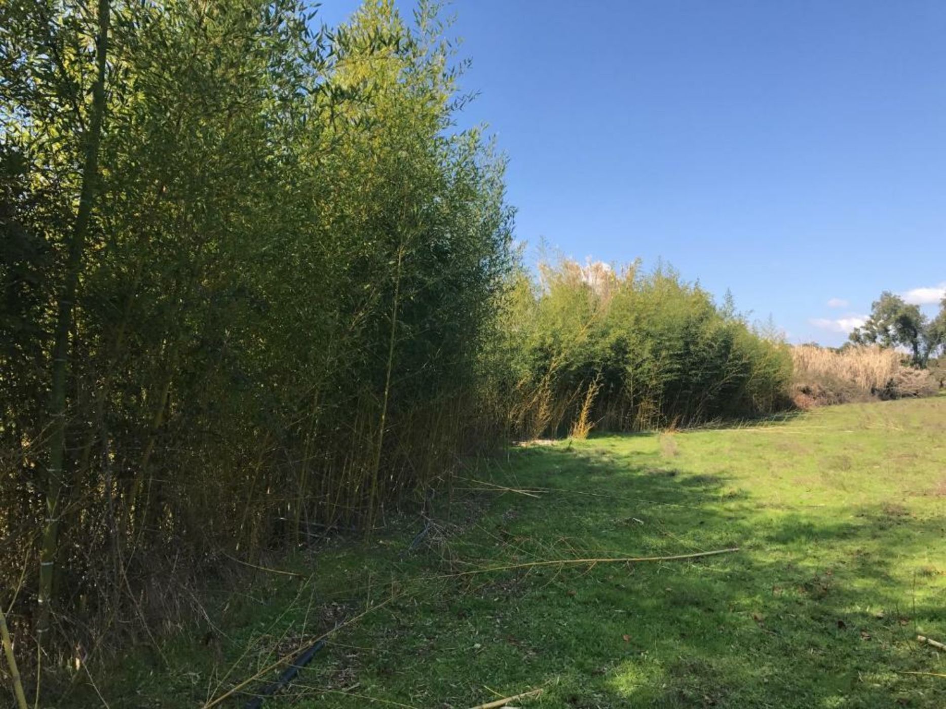 Monte das Texugueiras