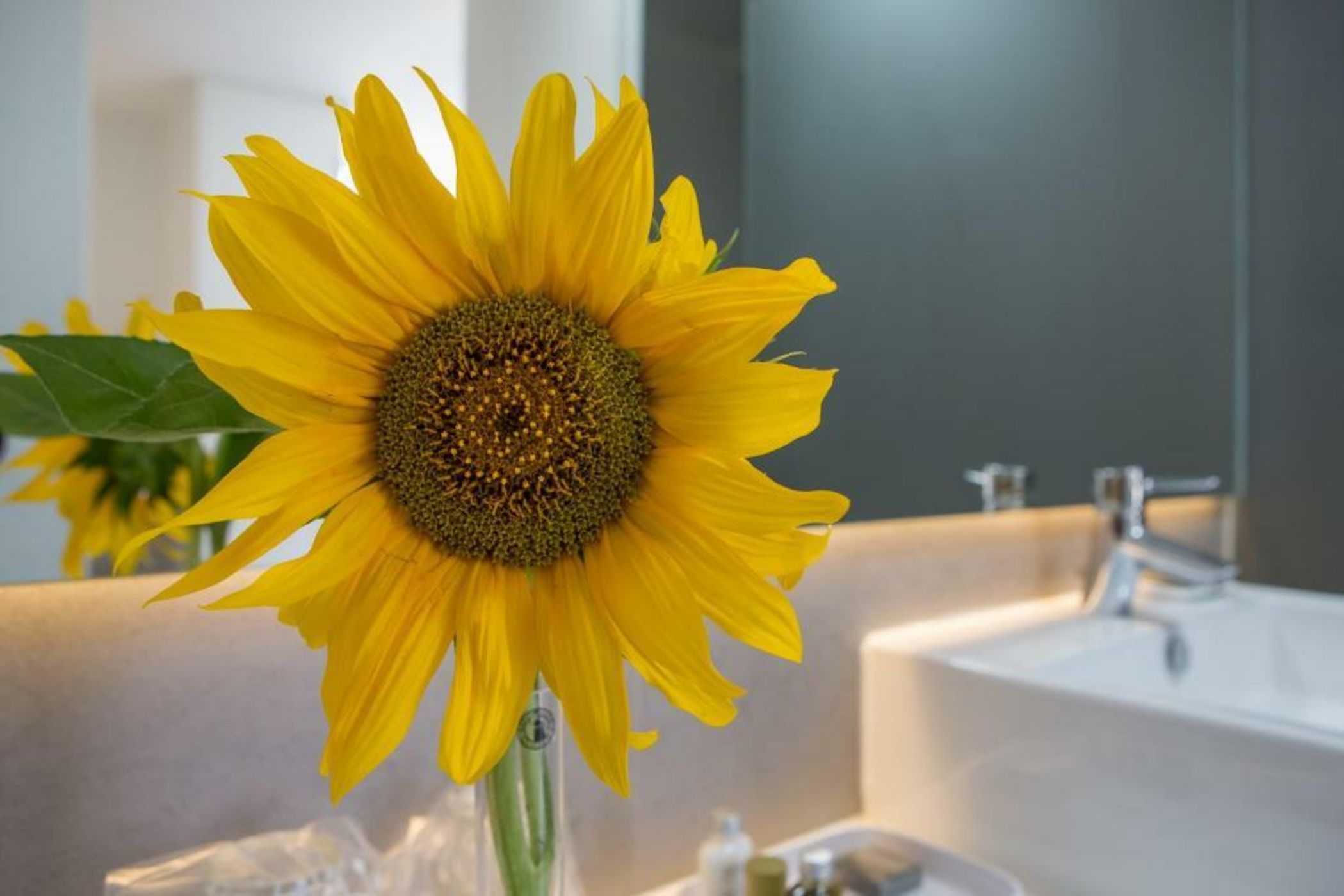 Monte das Texugueiras