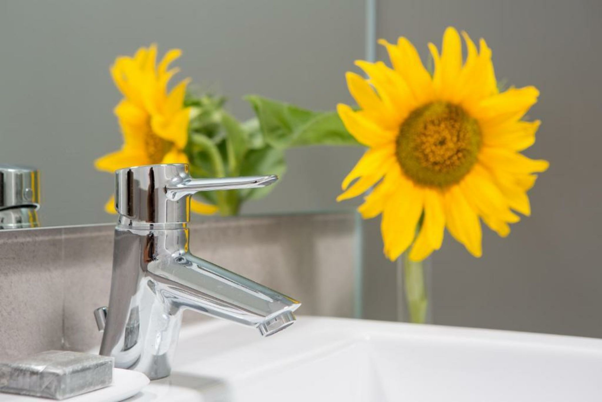 Monte das Texugueiras