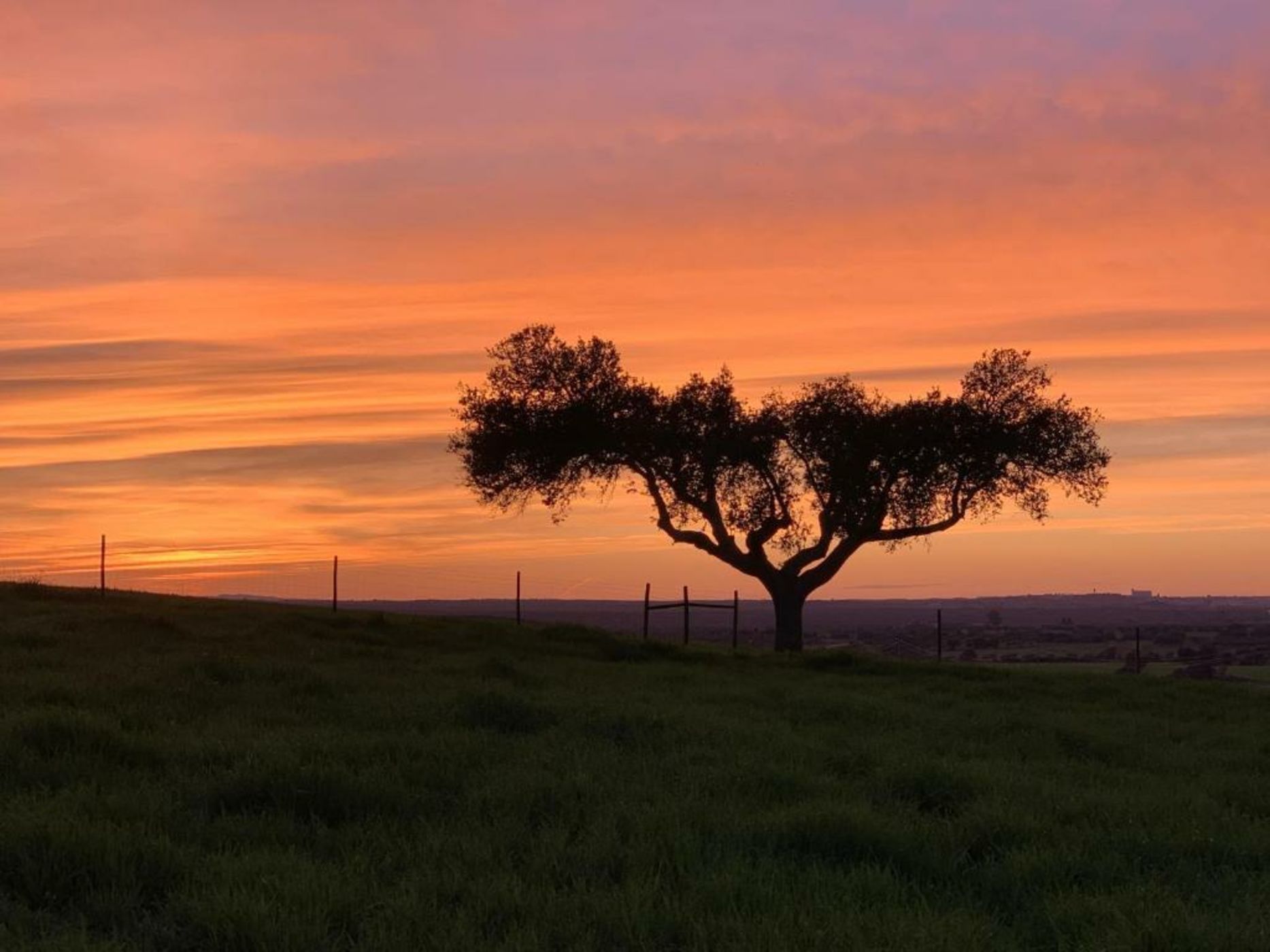 Montimerso Skyscape Country House