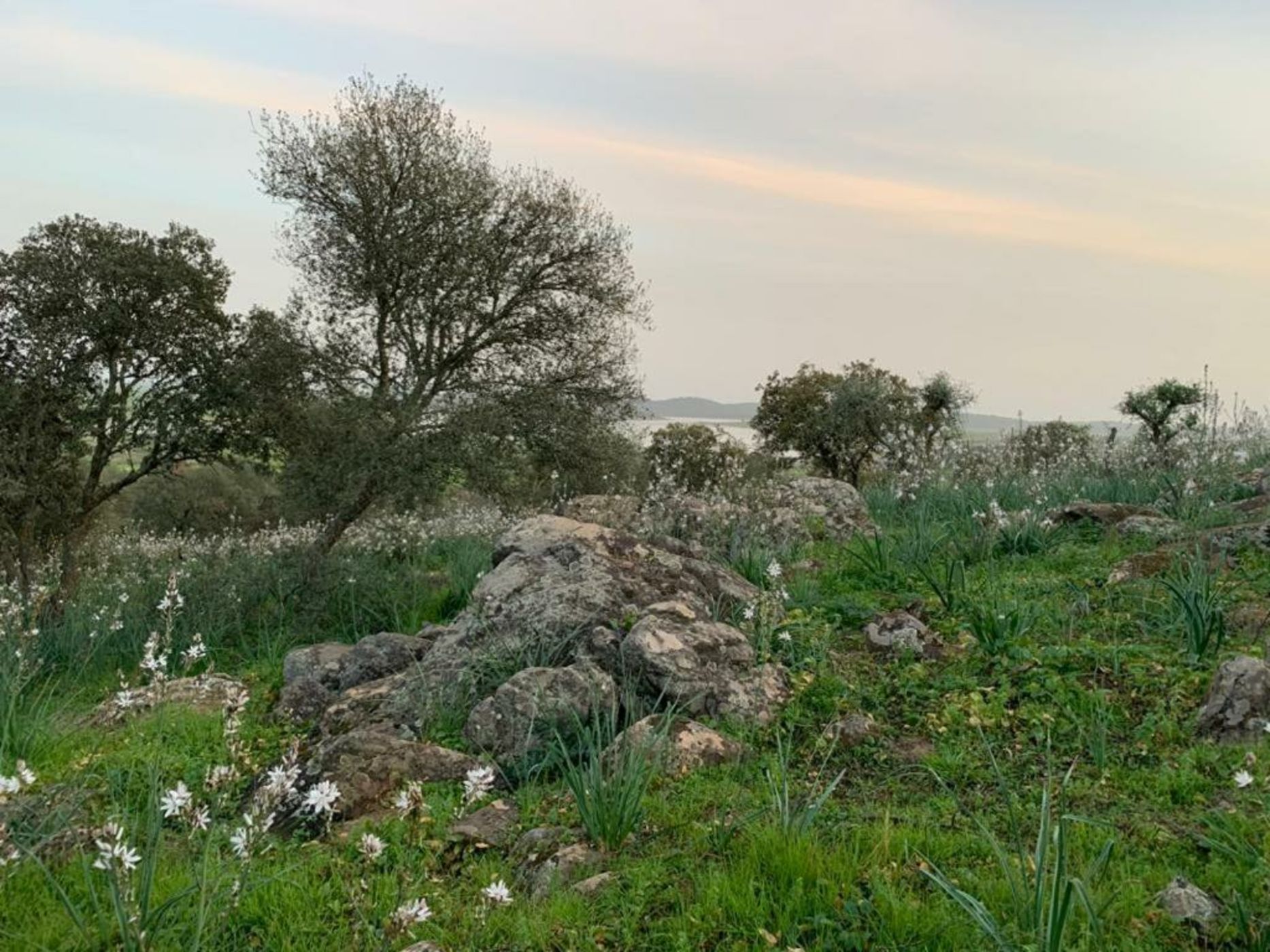 Montimerso Skyscape Country House