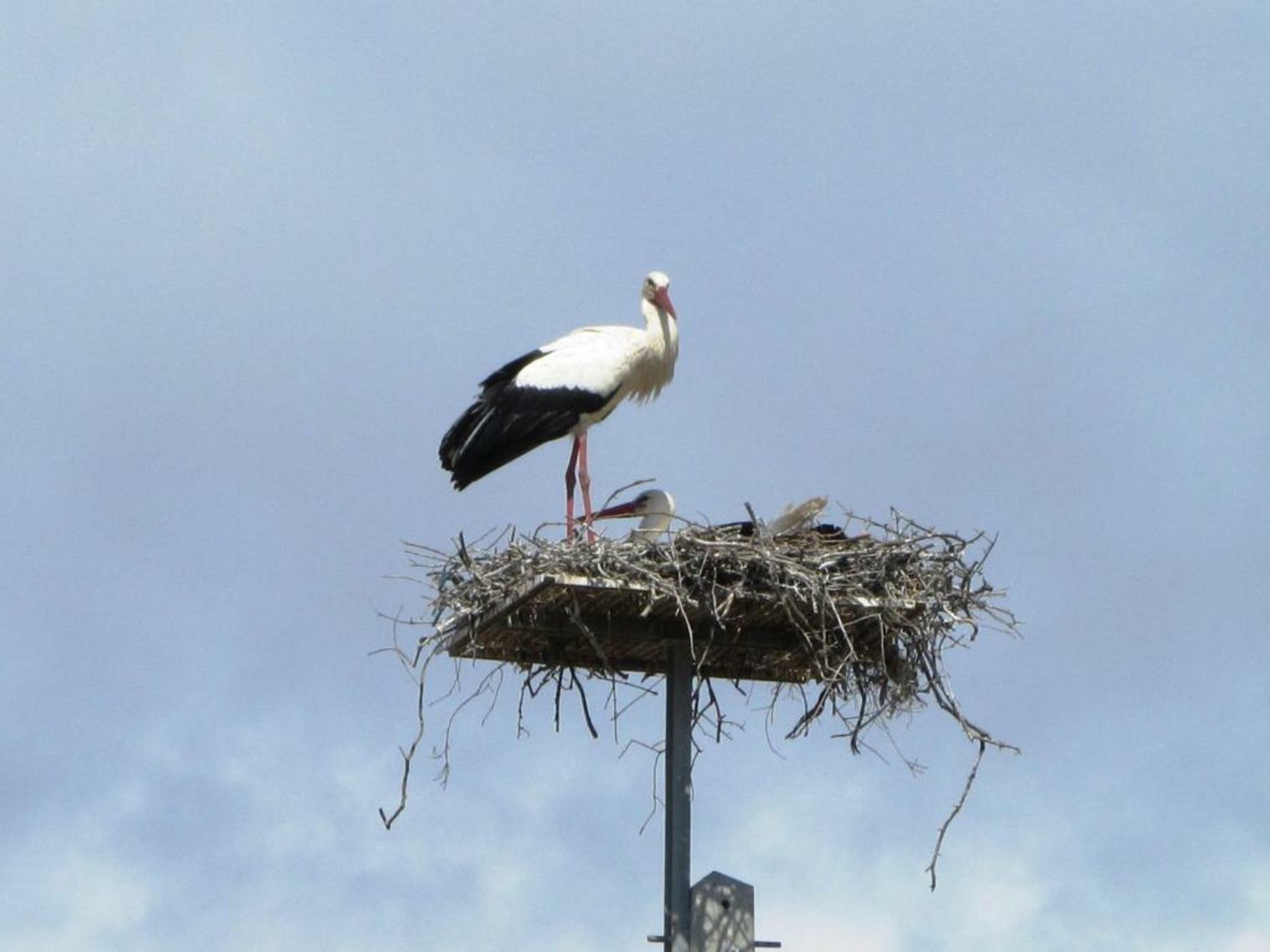 Montimerso Skyscape Country House