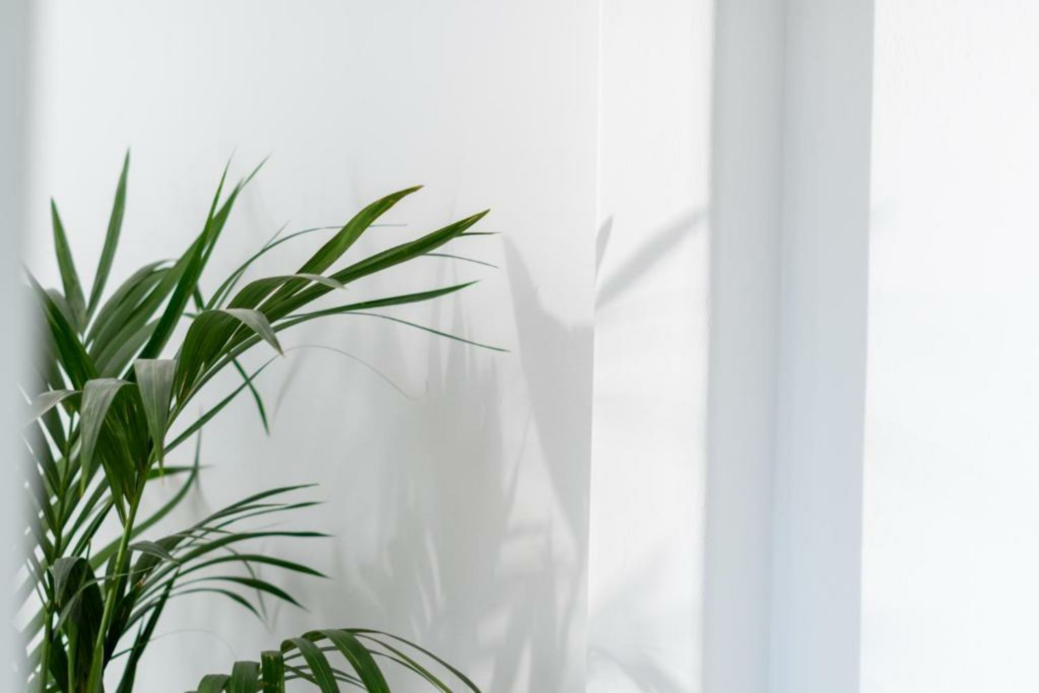 Samsara Private Villas