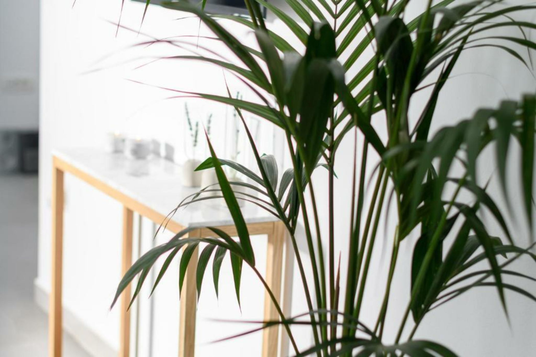 Samsara Private Villas