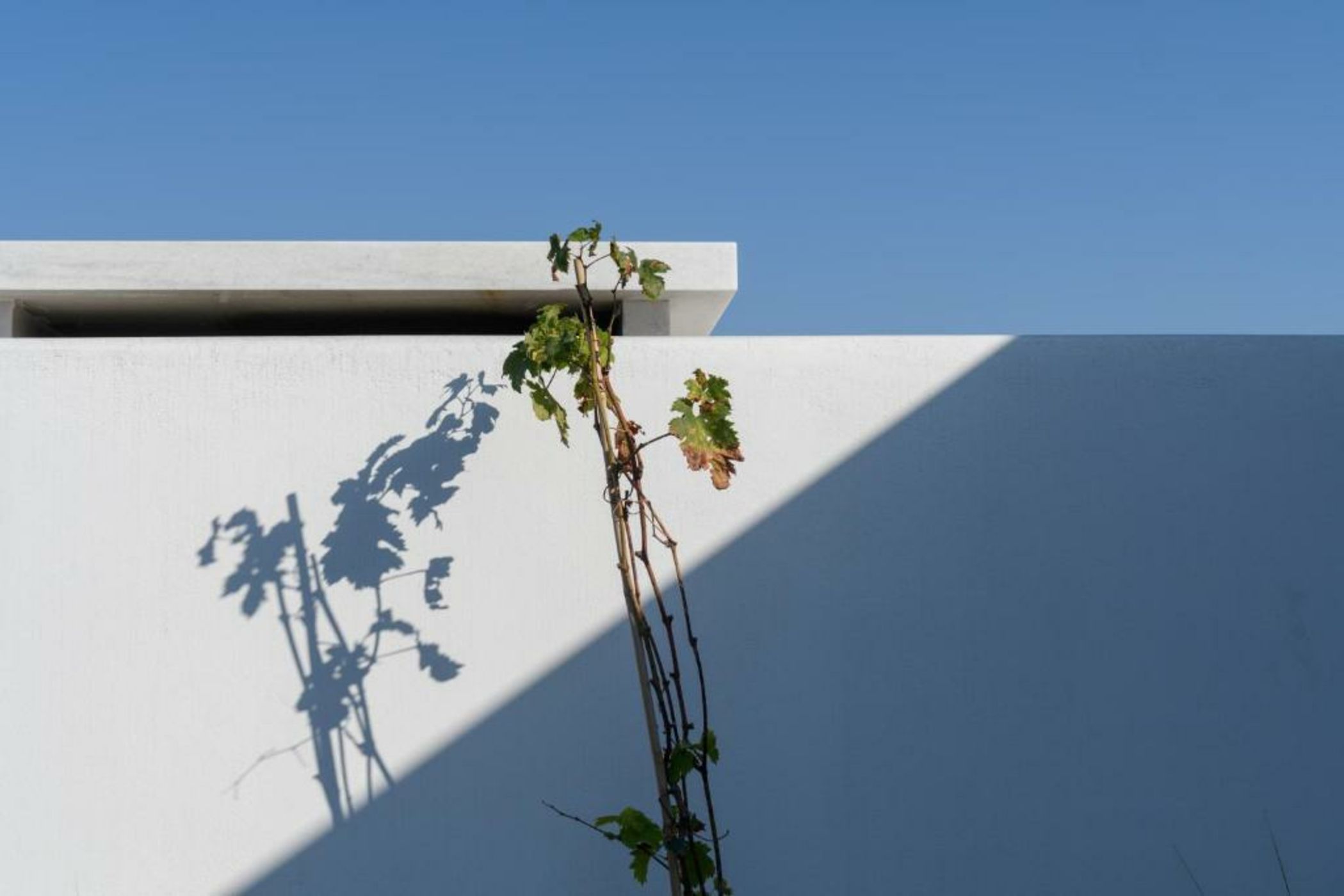 Samsara Private Villas