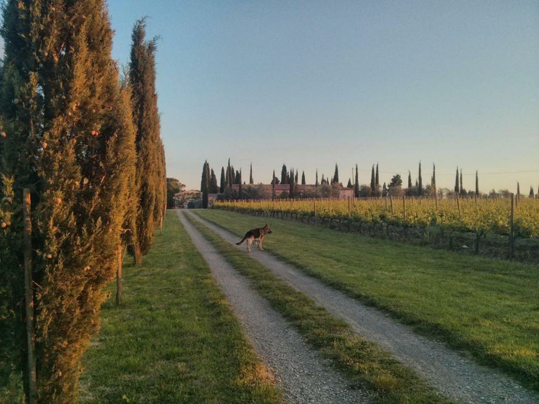 Argiano Dimore Wine Relais