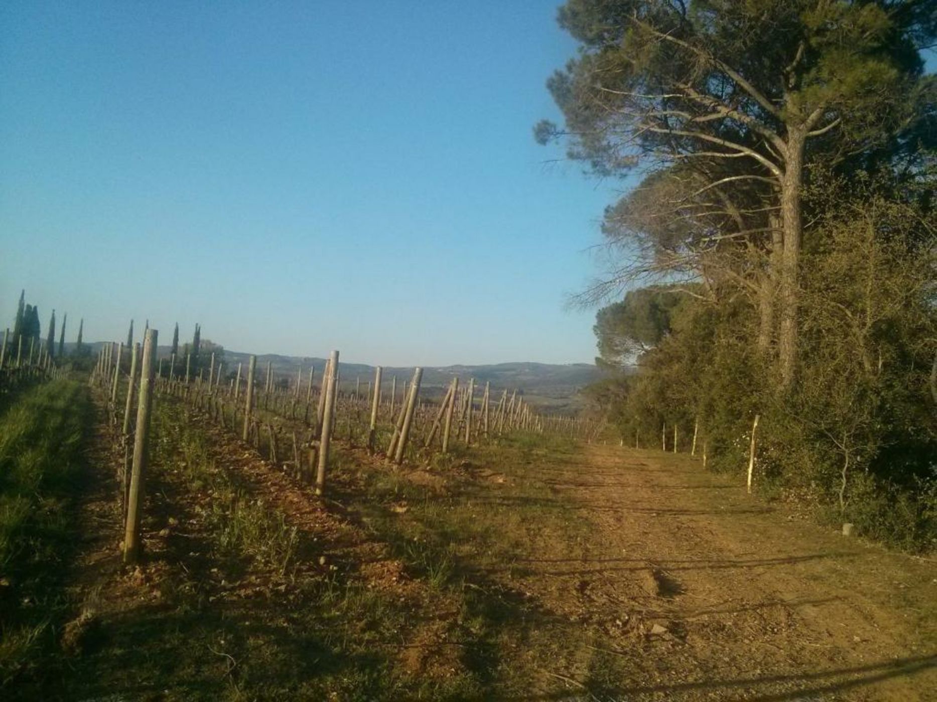 Argiano Dimore Wine Relais