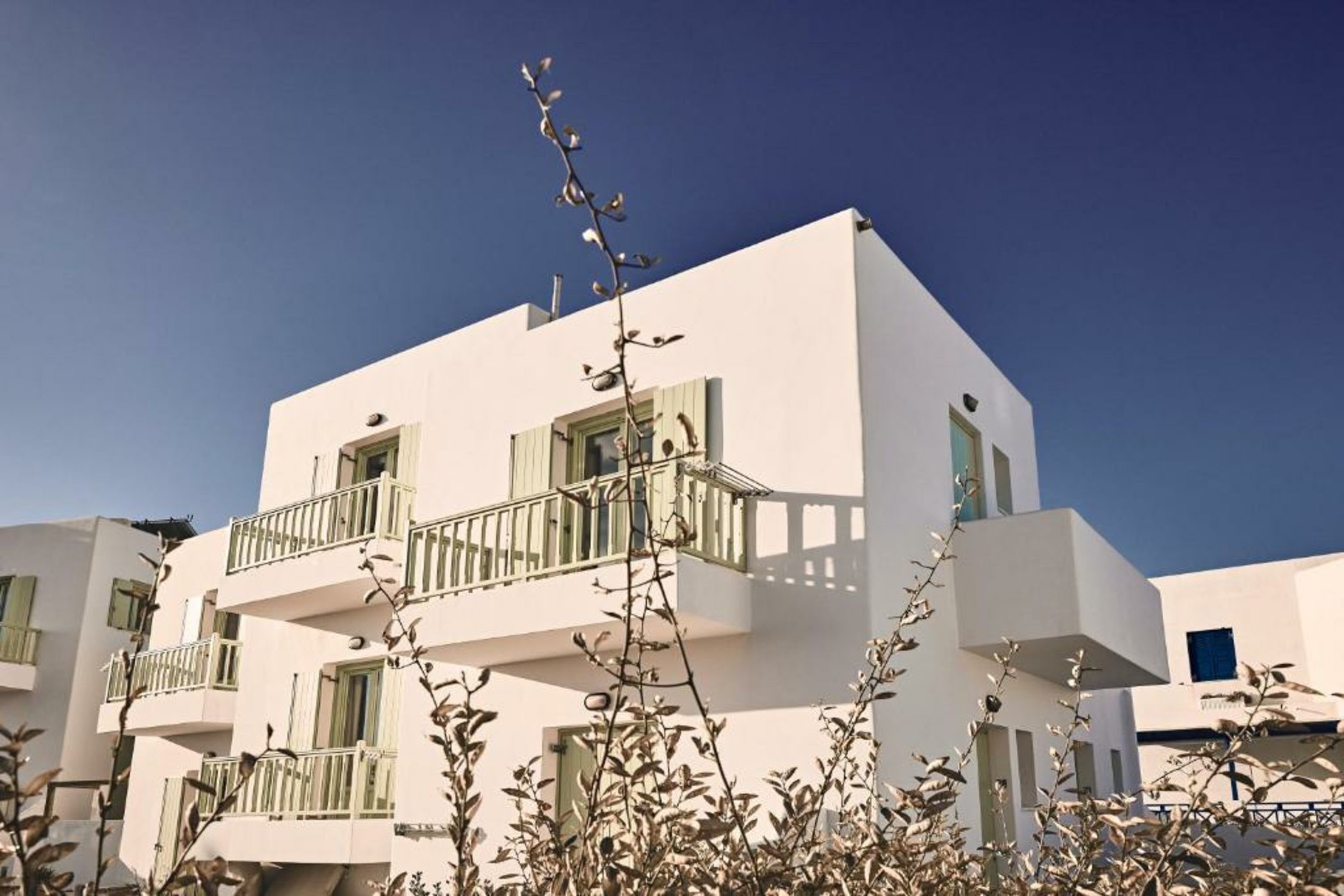 Noon Beyond Accommodation