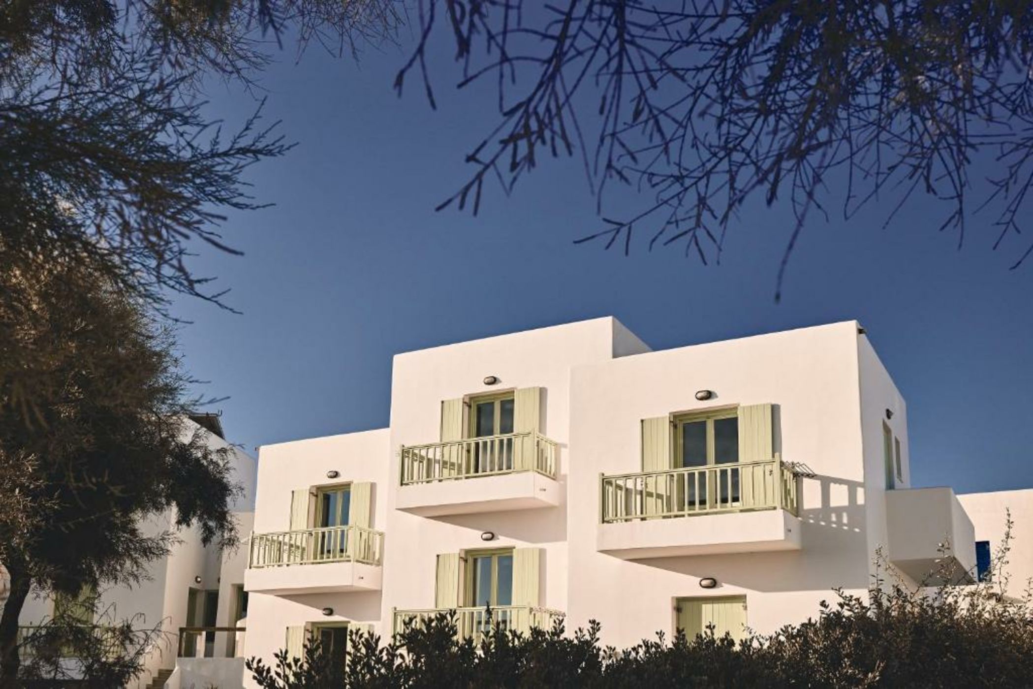 Noon Beyond Accommodation