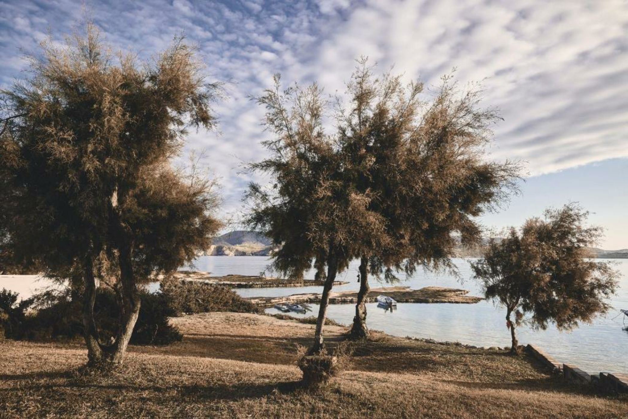 Noon Beyond Accommodation