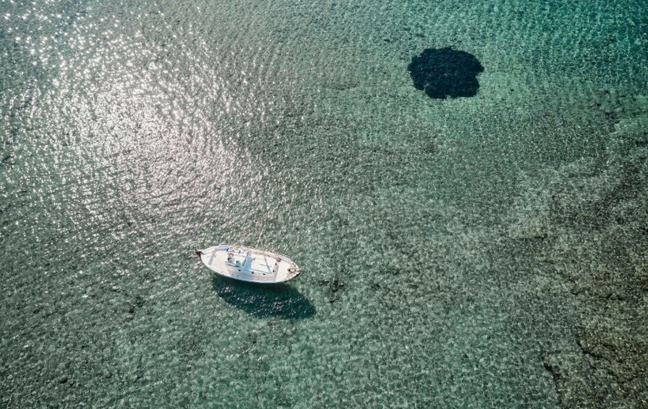 Noon Beyond Accommodation