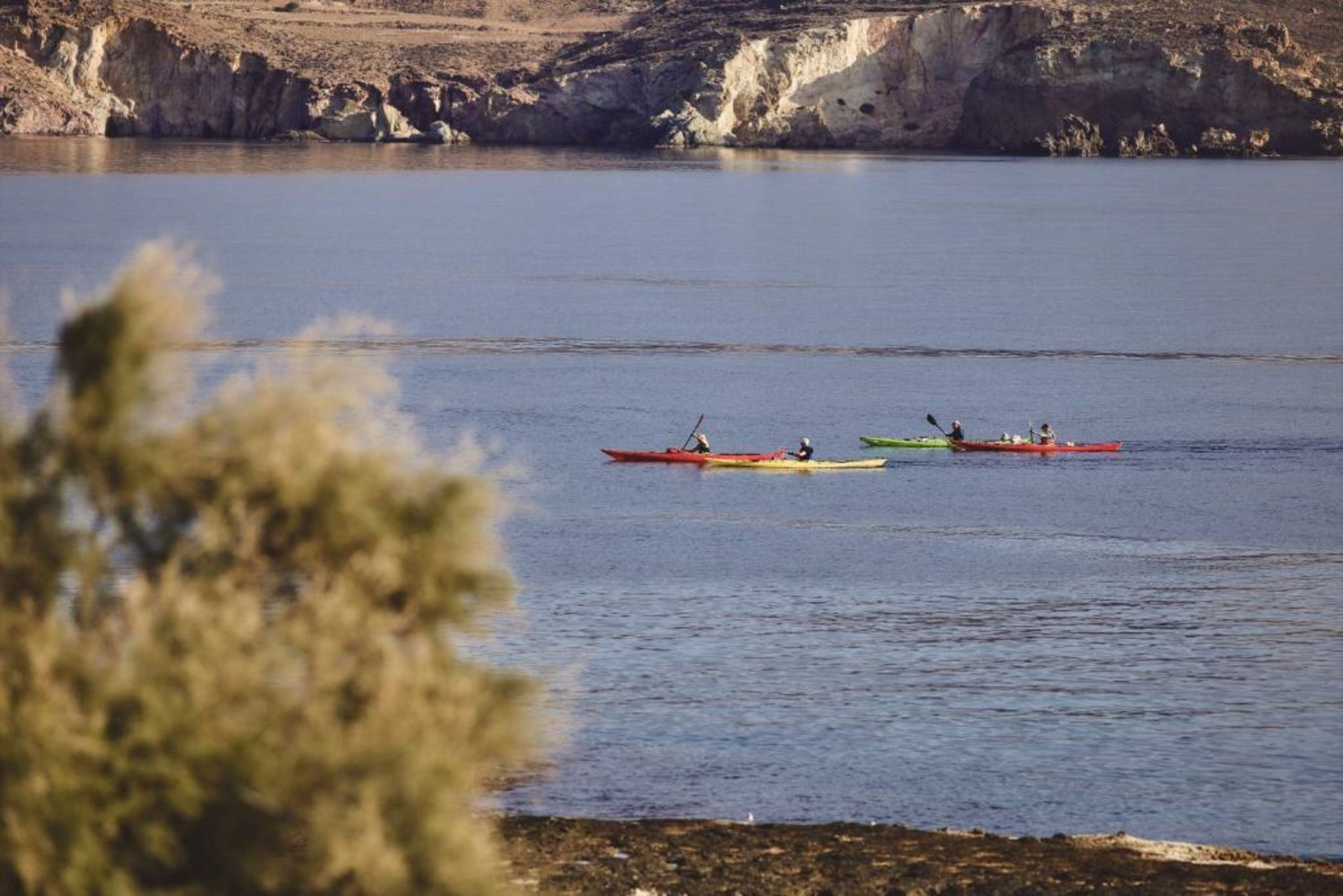 Noon Beyond Accommodation