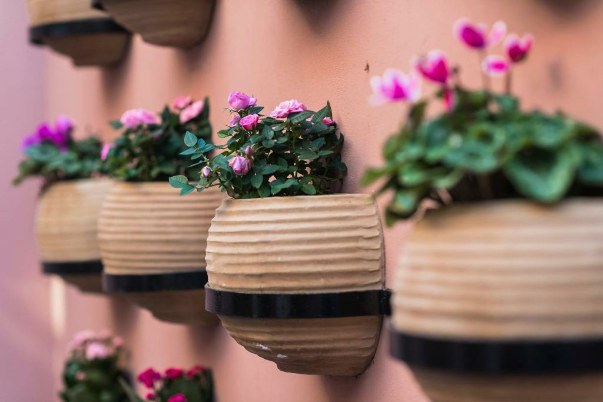 Sperveri Boutique Hotel