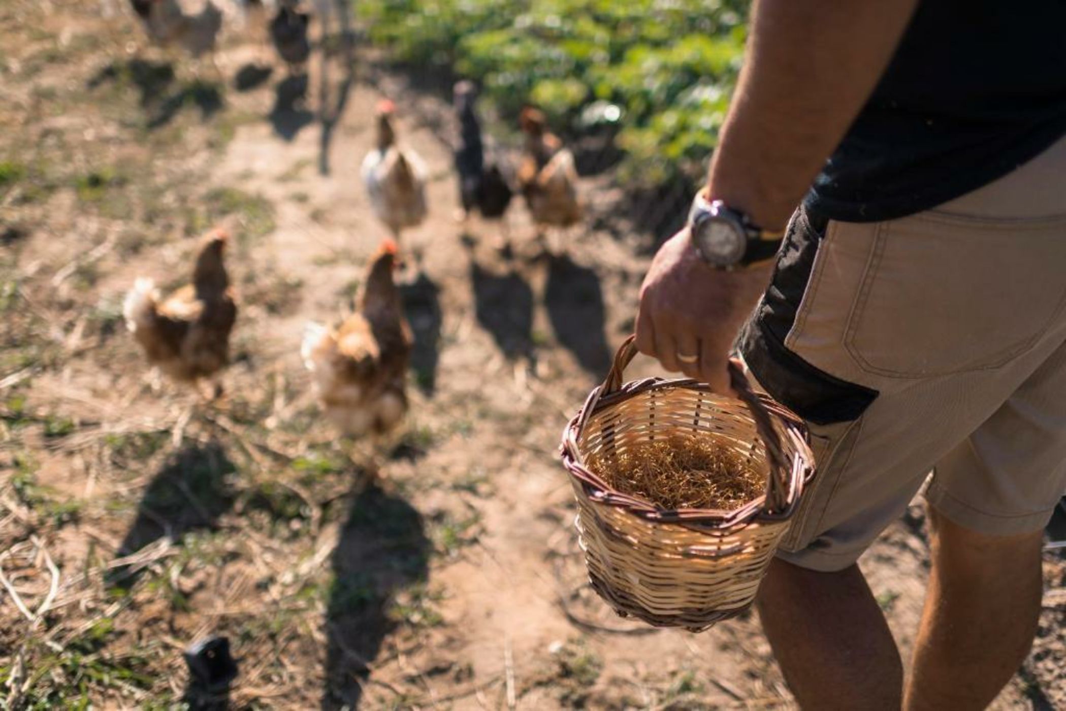 Sperveri Boutique Hotel