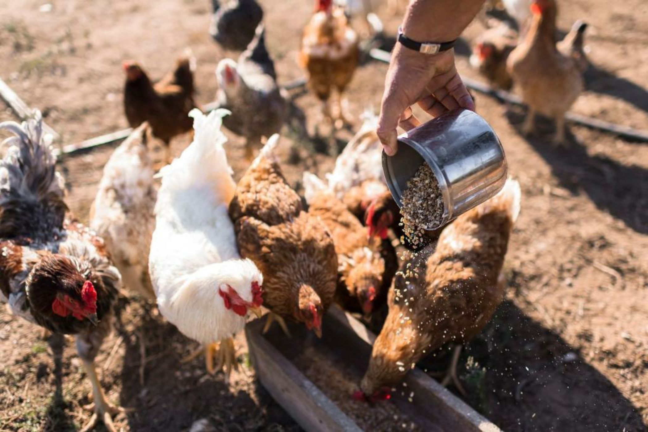 Sperveri Boutique Hotel