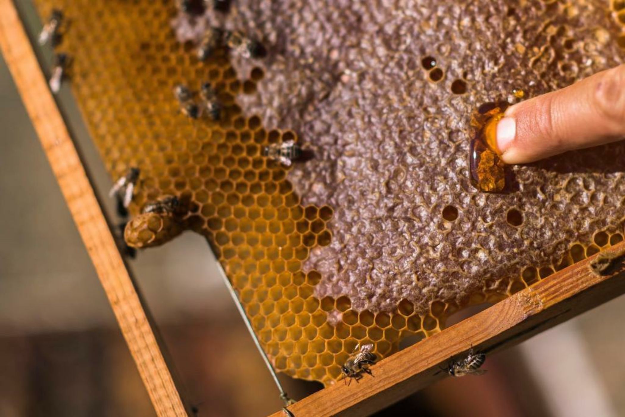 Sperveri Boutique Hotel