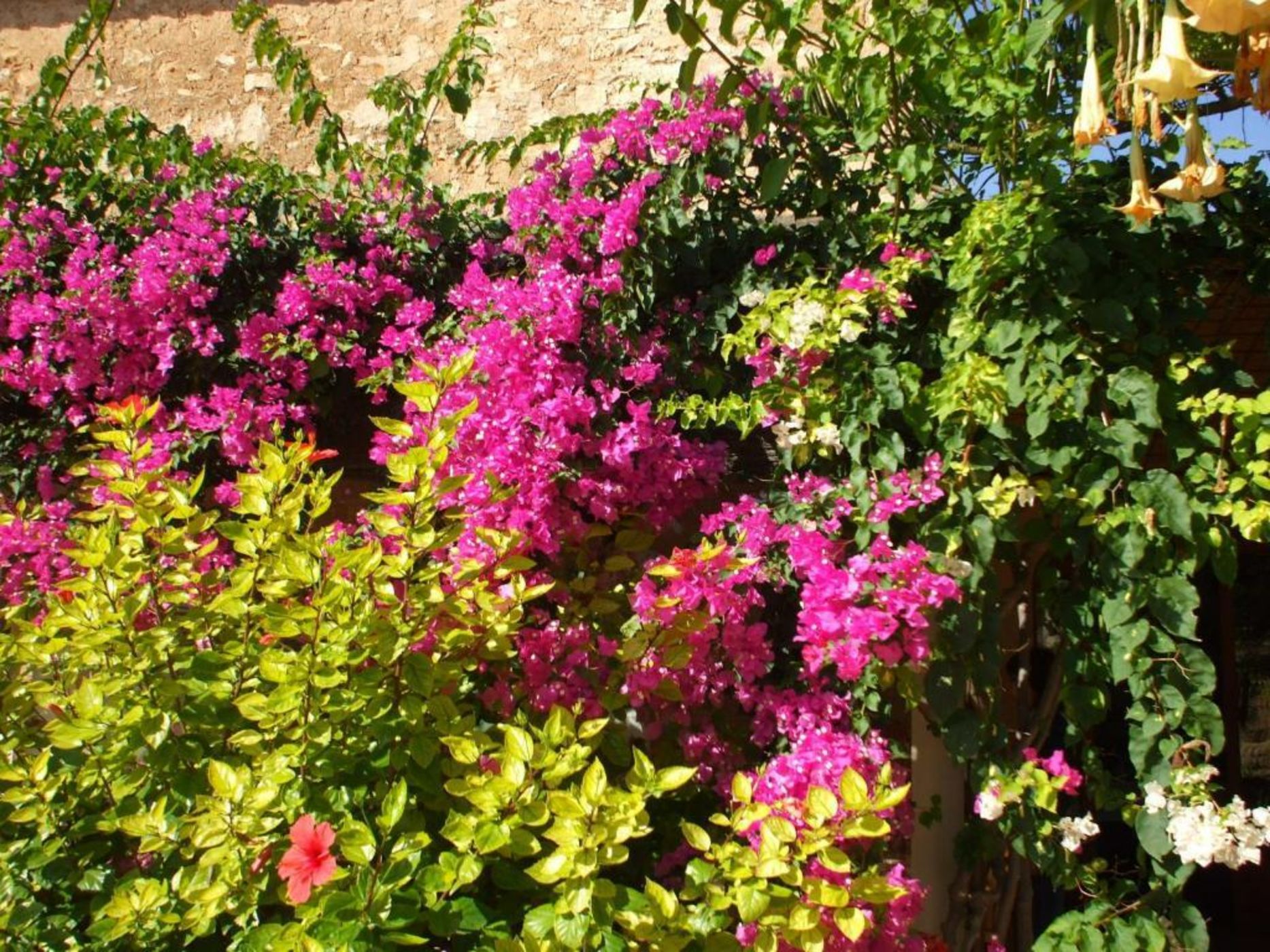 Sa Carrotja - Adults Only