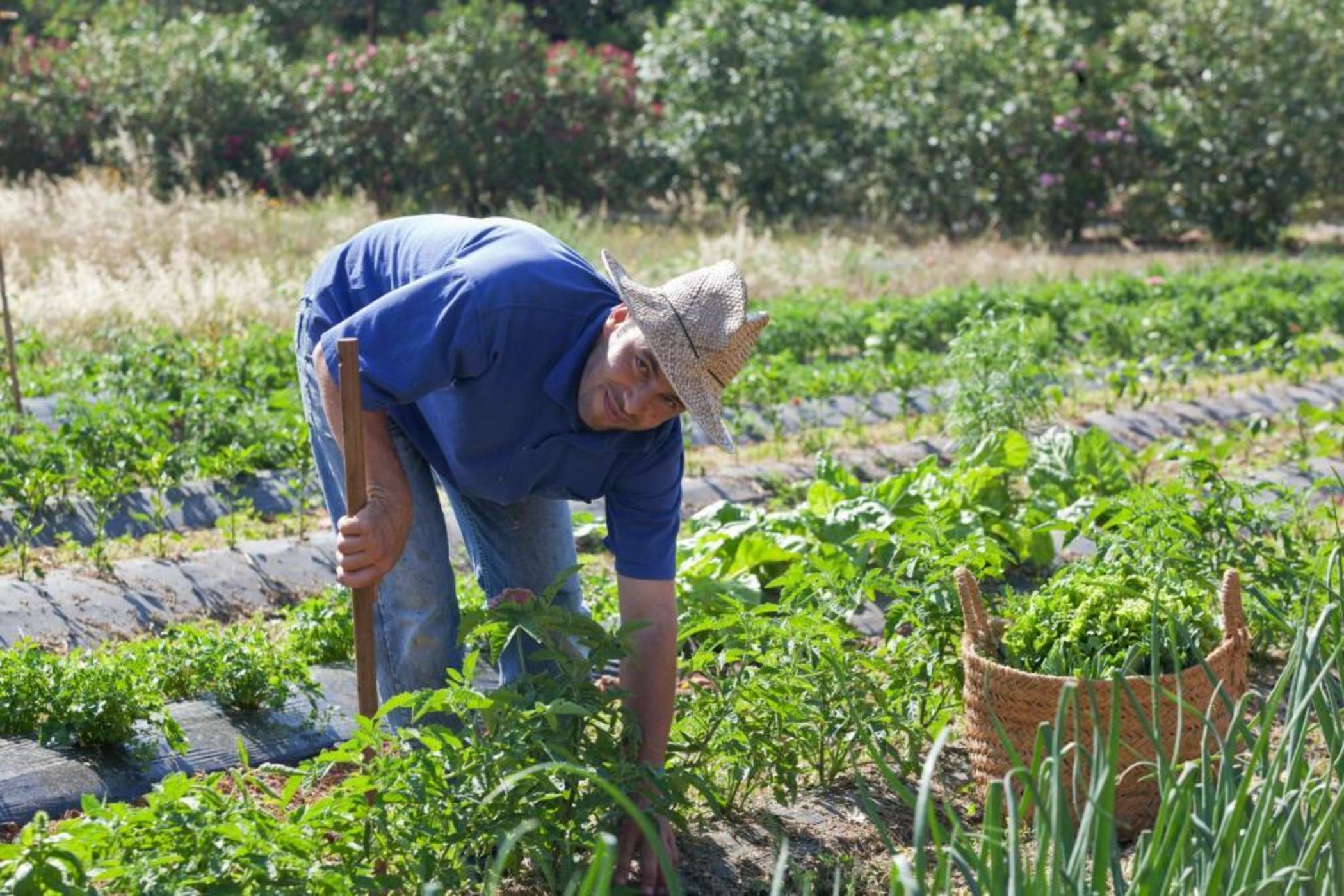 Sa Carrotja - Adults Only