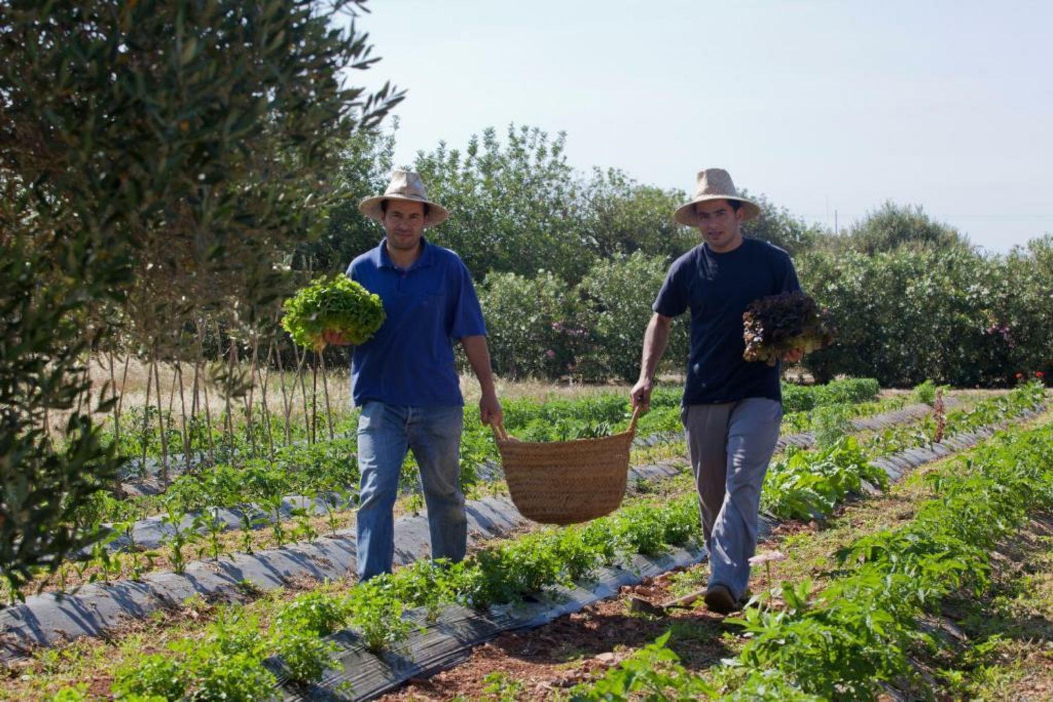 Sa Carrotja - Adults Only