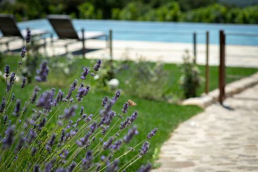 Relais Mastrojanni