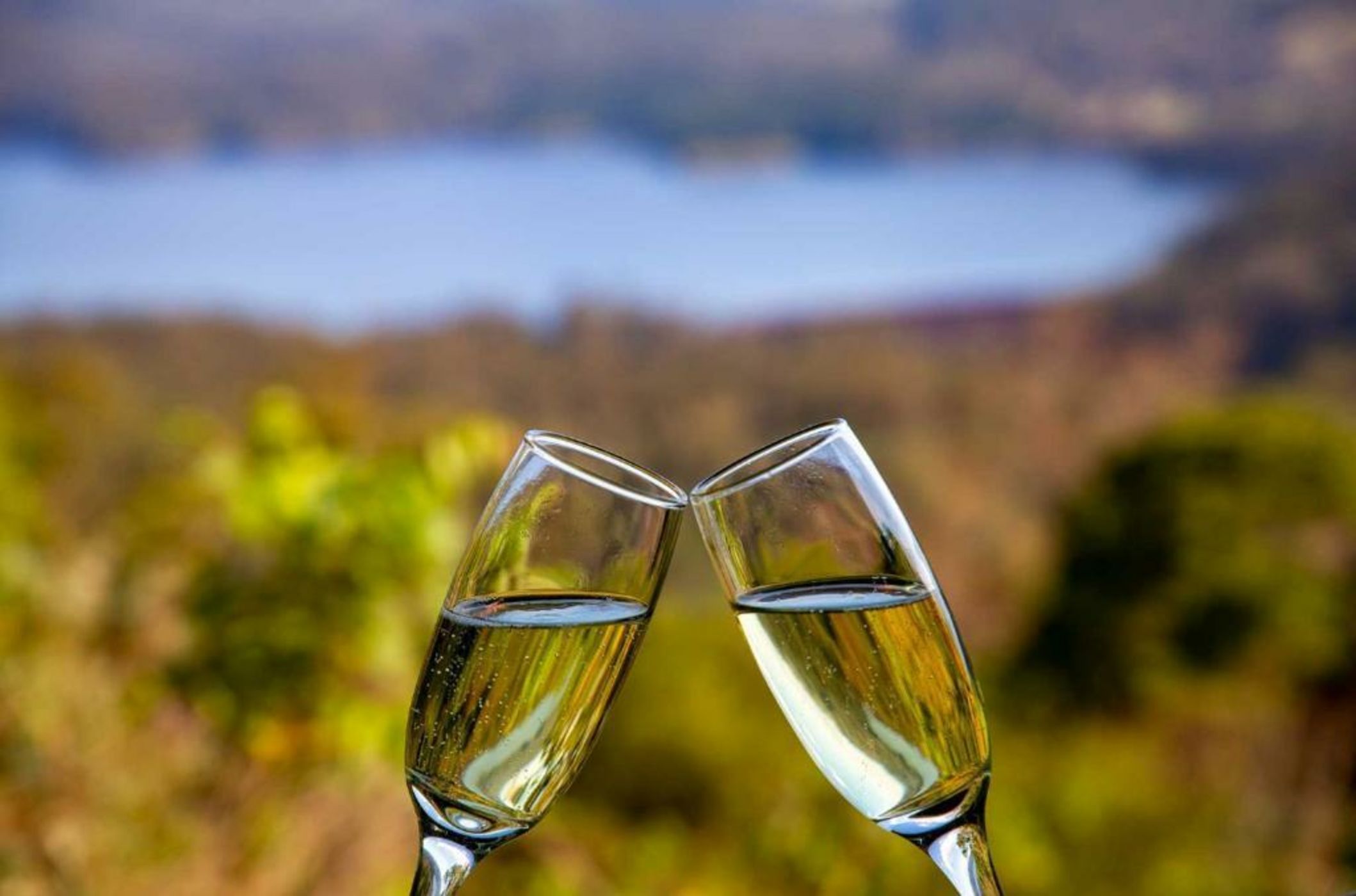 Montville Misty View Cottages