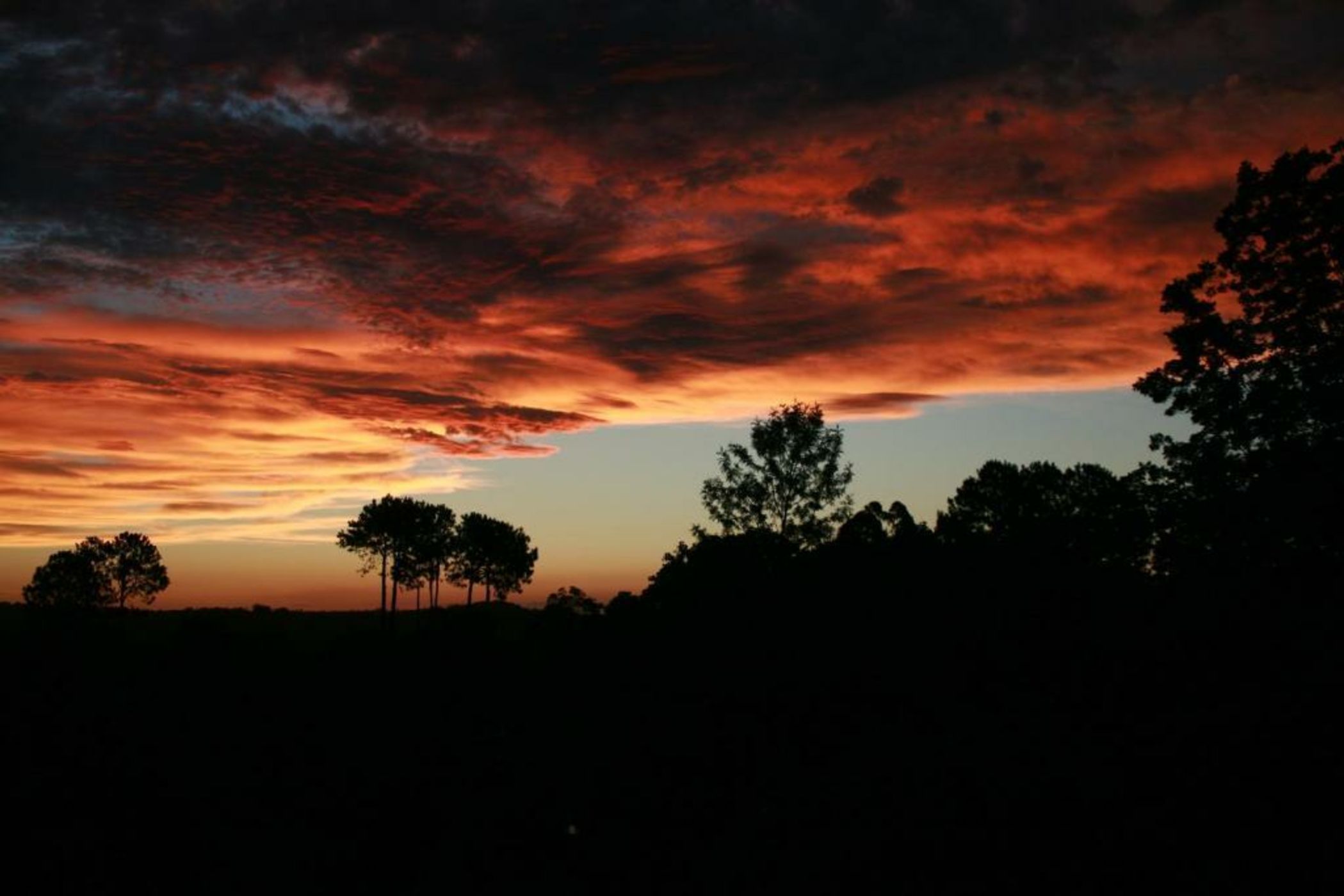 Montville Misty View Cottages