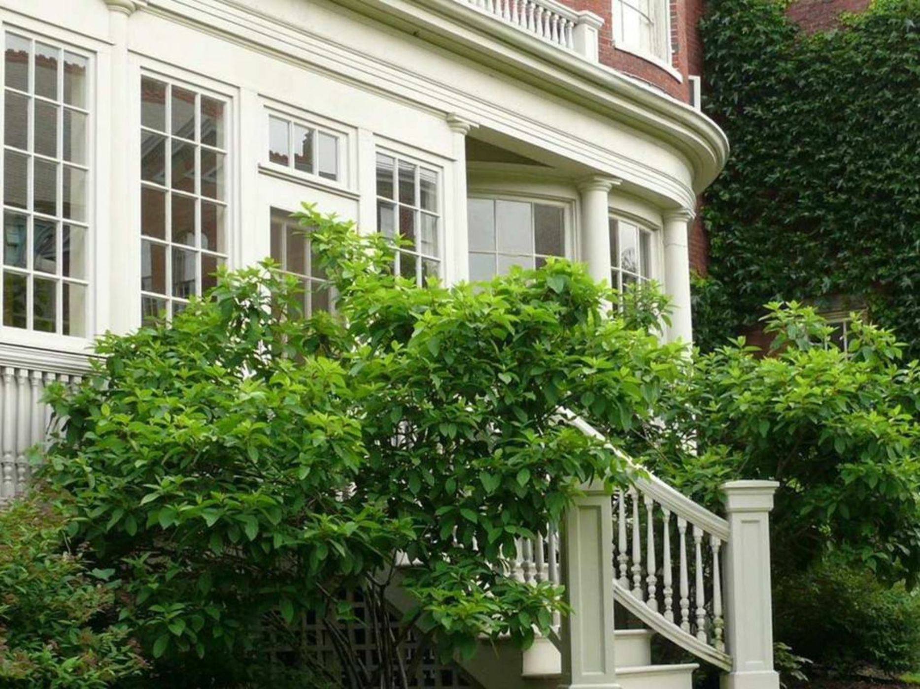 Blind Tiger Guest House