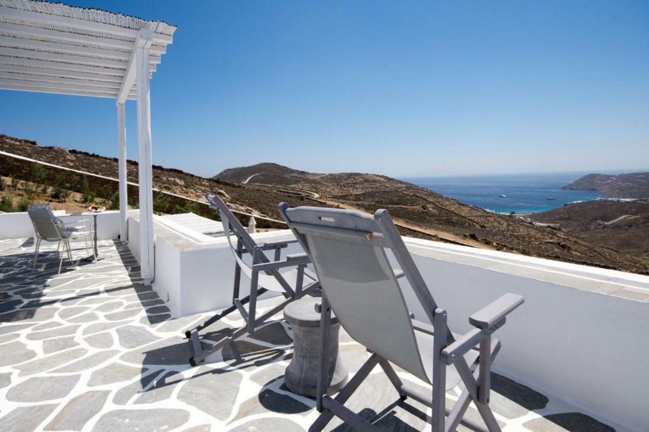 Your beloved Chrysanthemo Complex