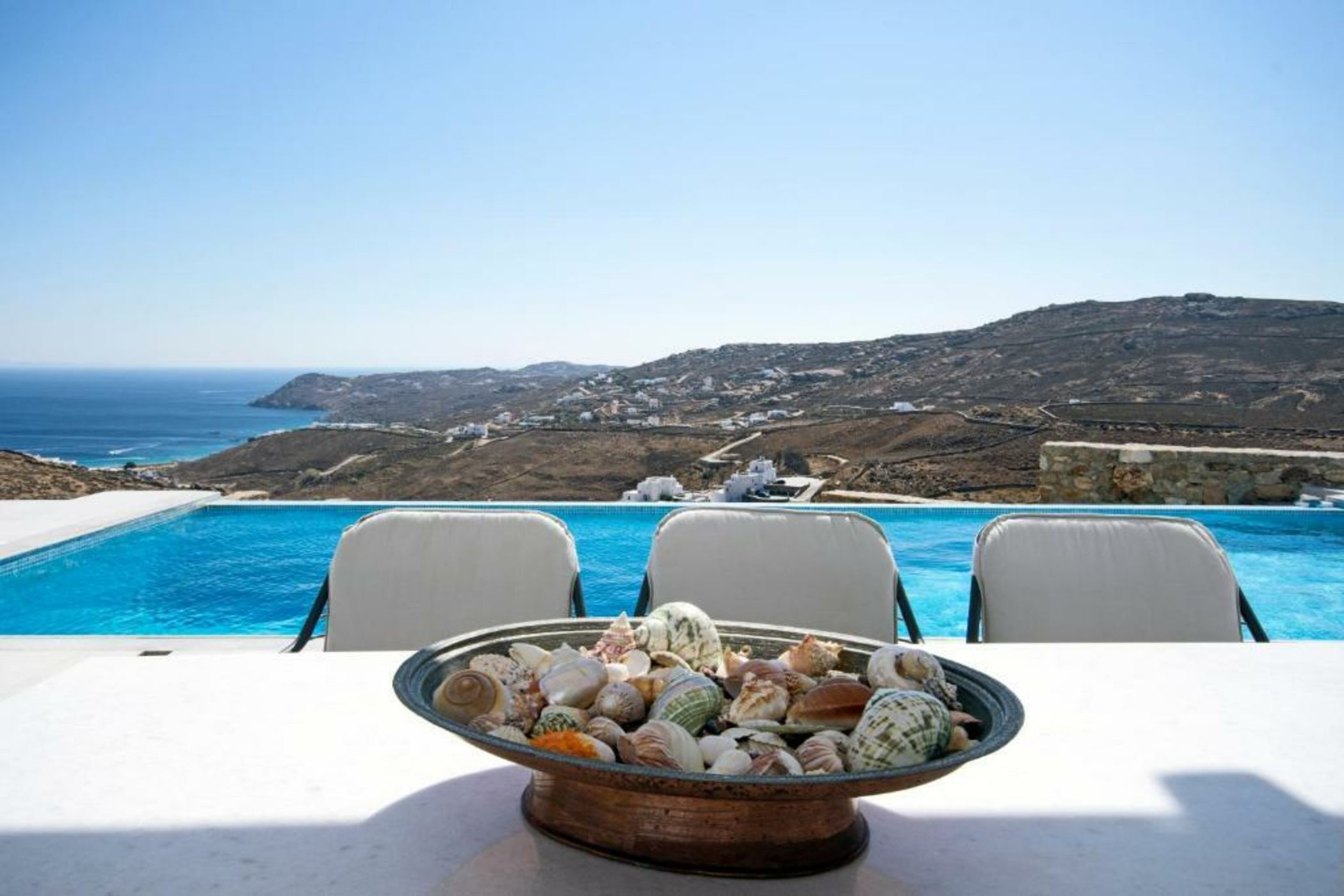 Your beloved Chrysanthemo Complex