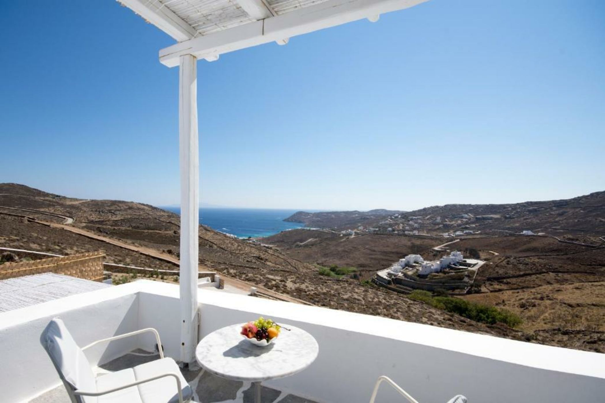 Your beloved Chrysanthemo Complex