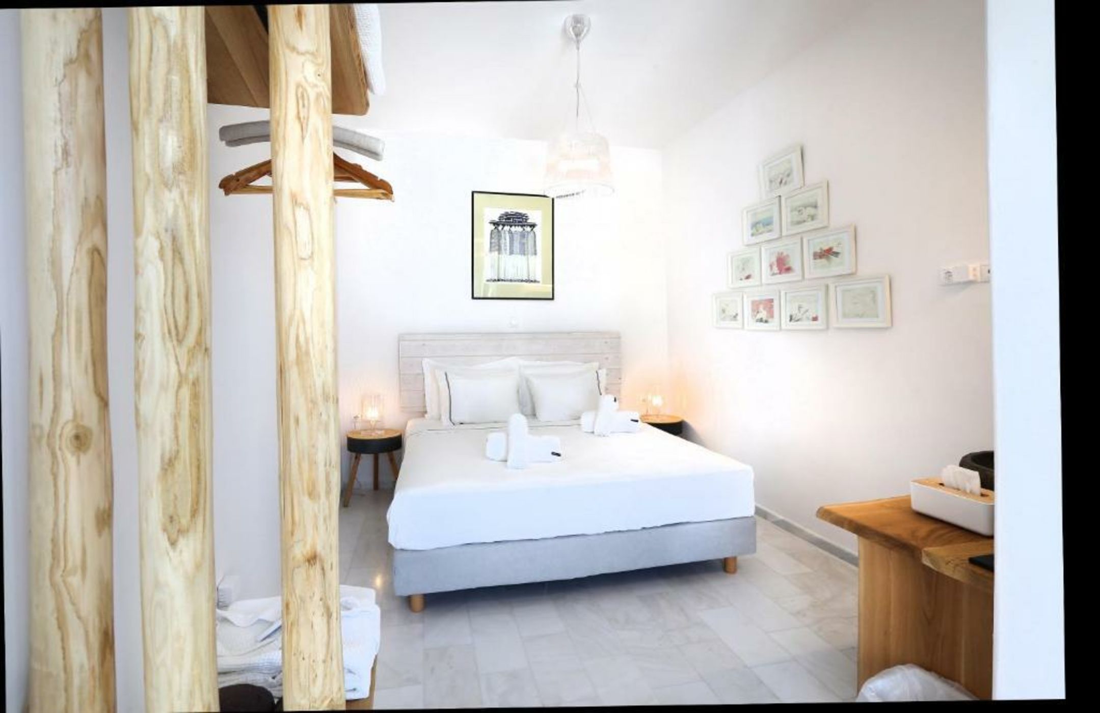 Your beloved Chrysanthemo Complex