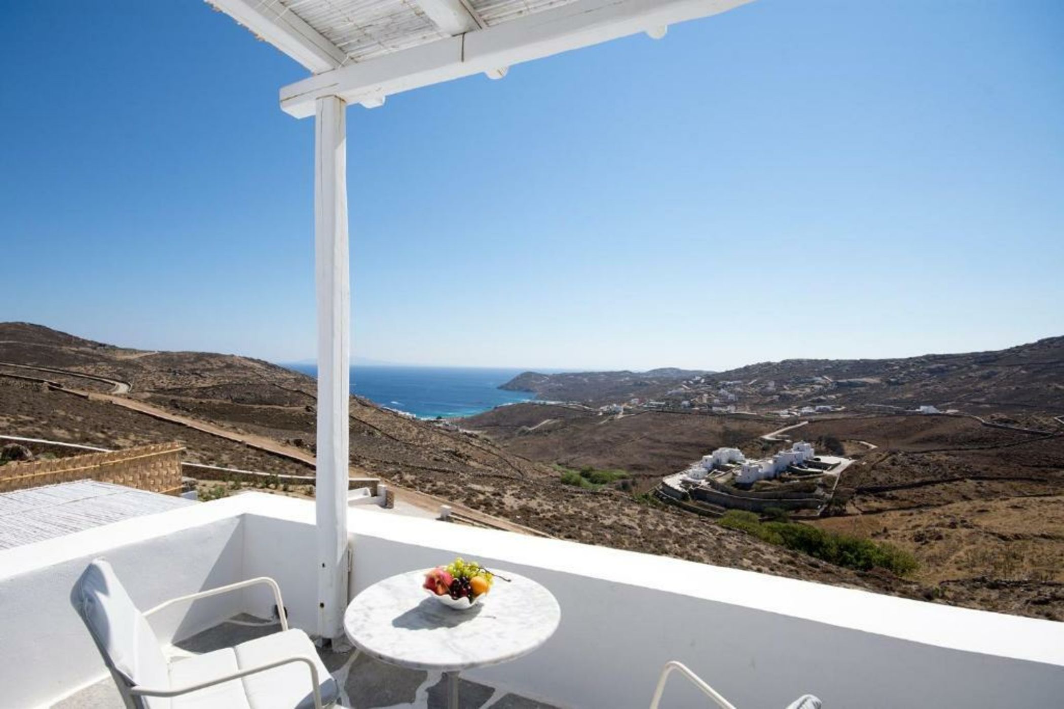 Your beloved Chrysanthemo Complex