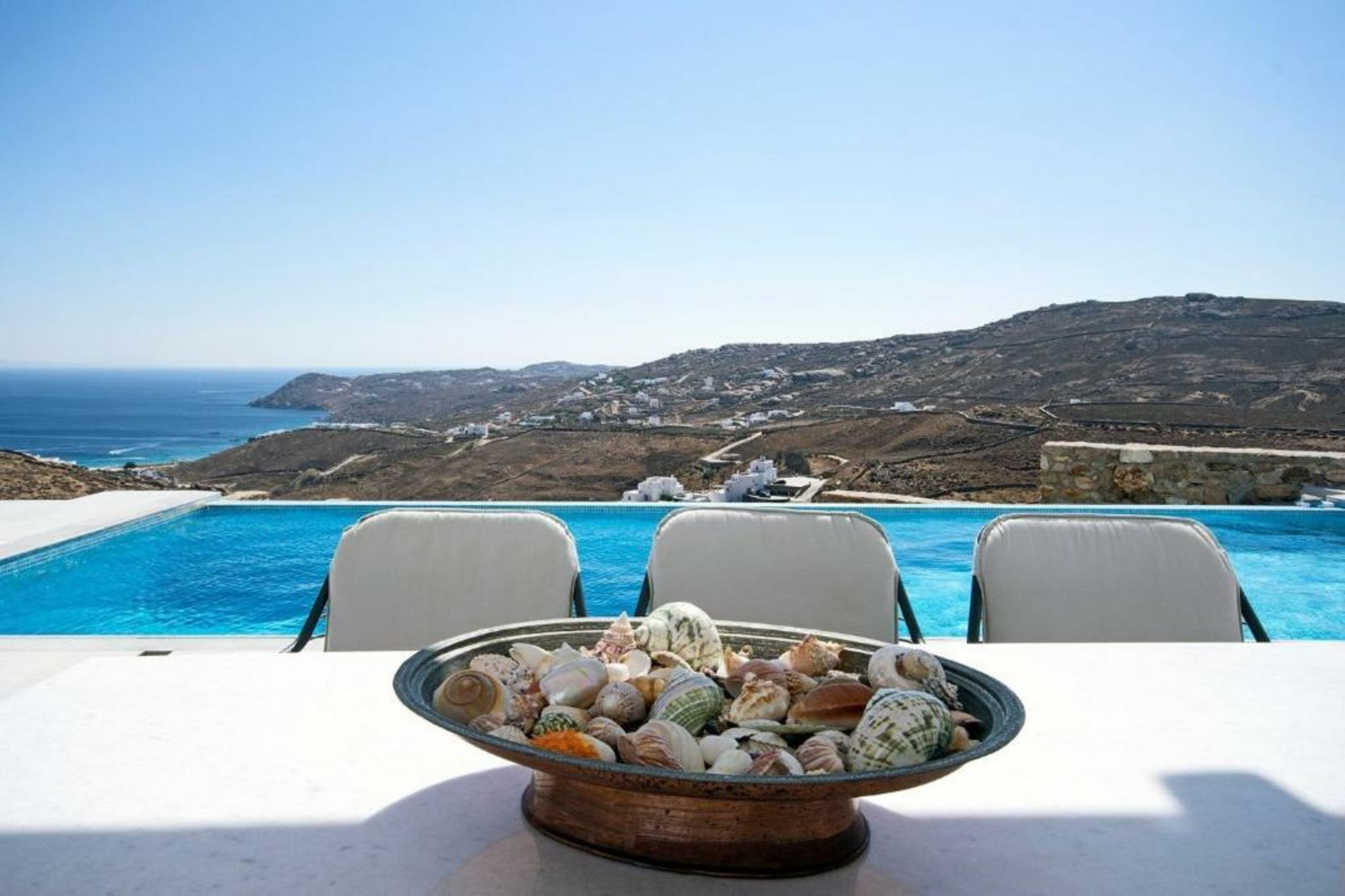 Your beloved Chrysanthemo Complex