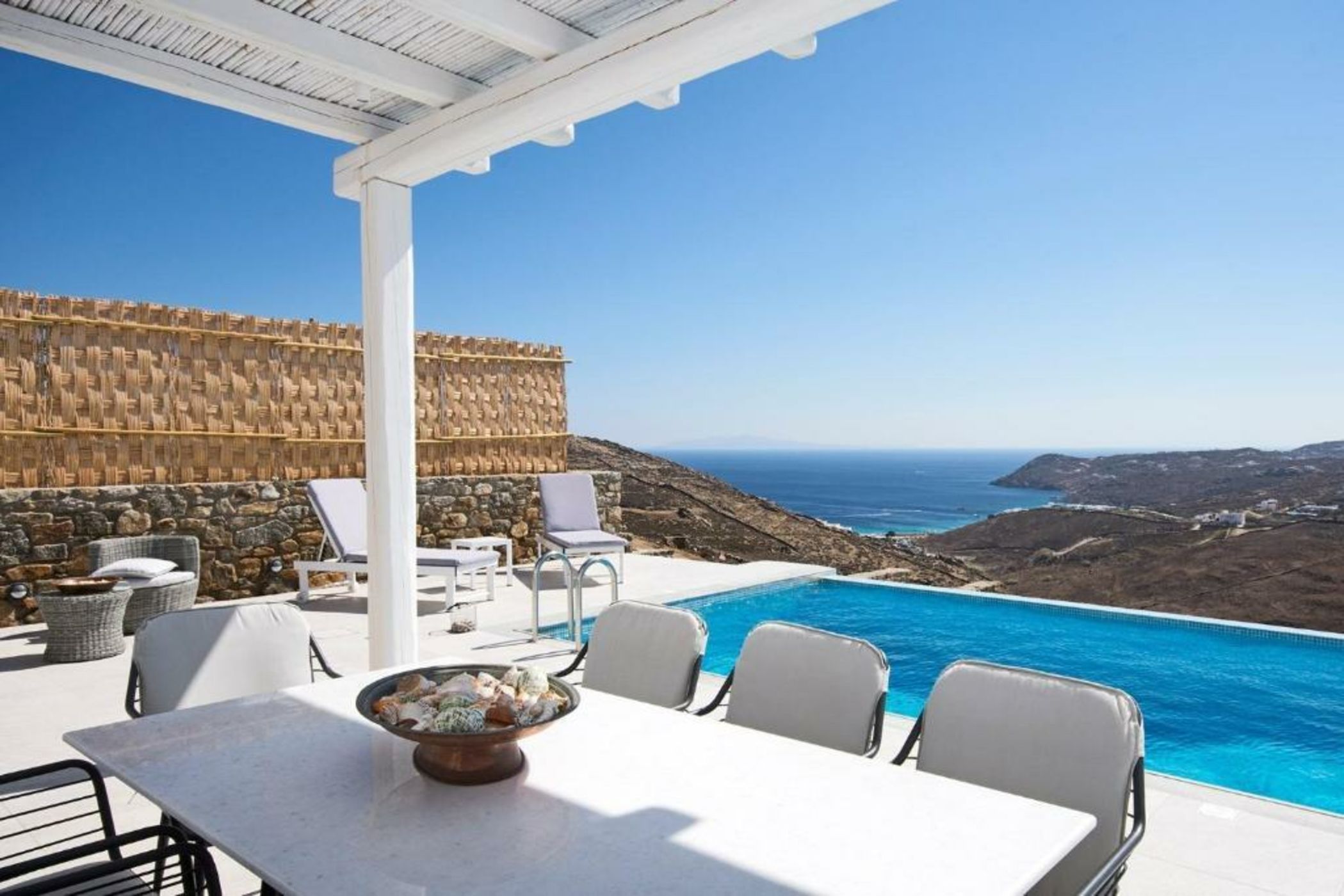 Your beloved Chrysanthemo Complex