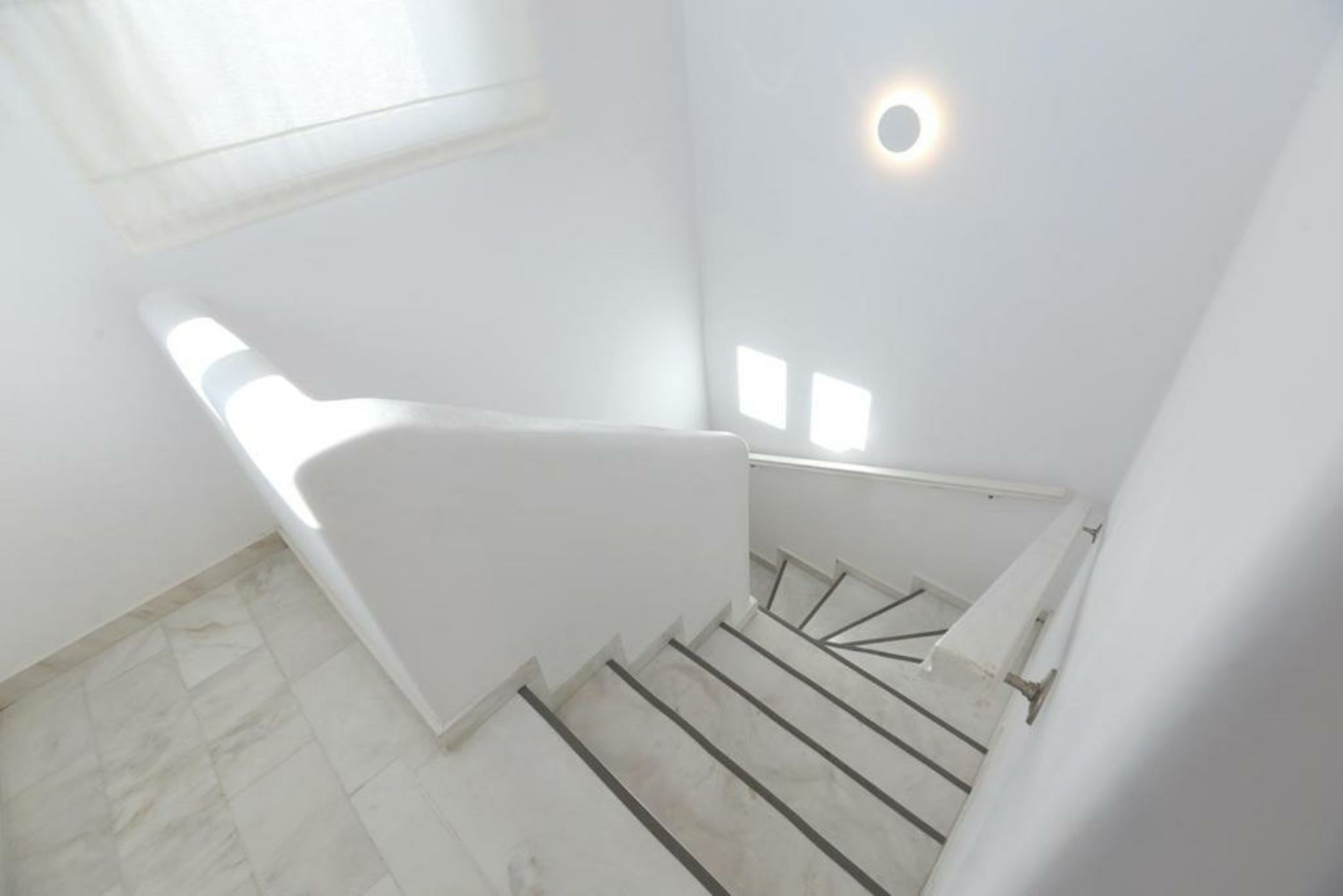 Your beloved Chrysanthemo Complex