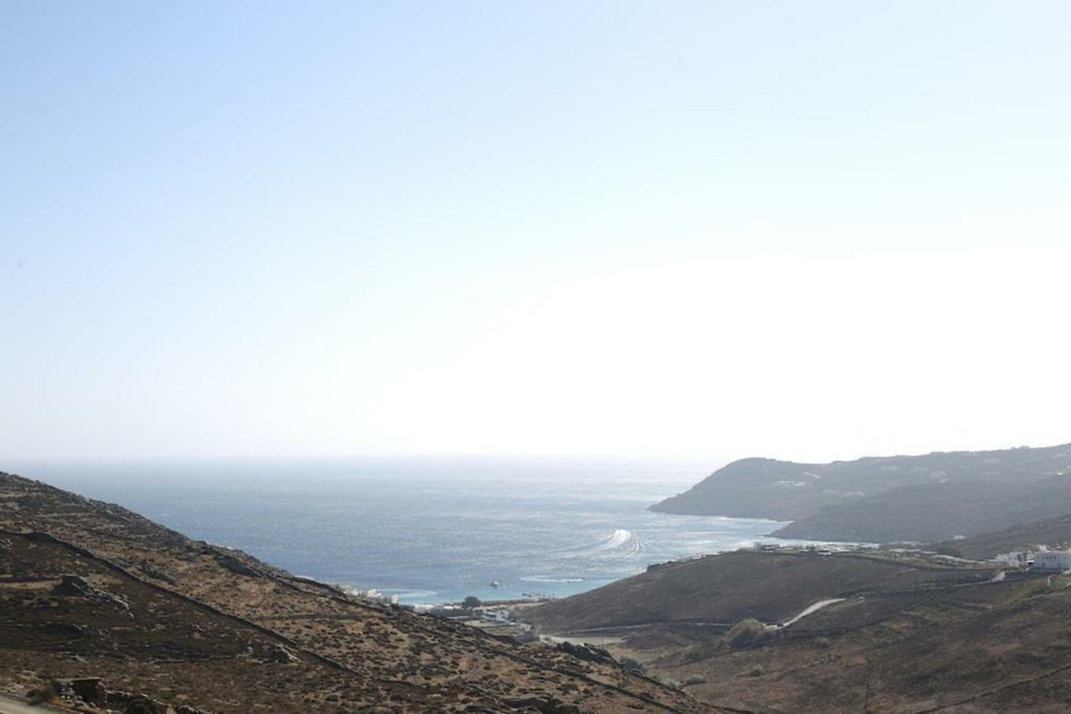 Your beloved Chrysanthemo Complex