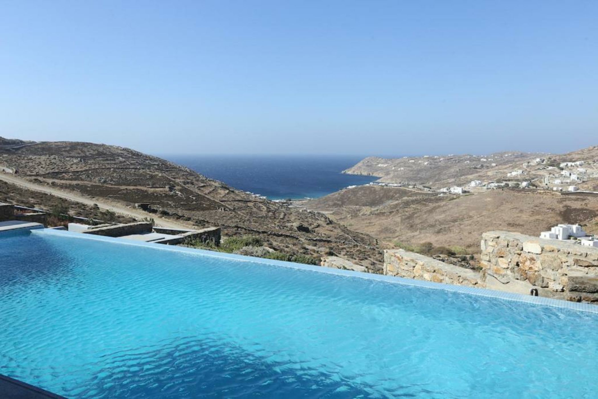 Your beloved Chrysanthemo Complex