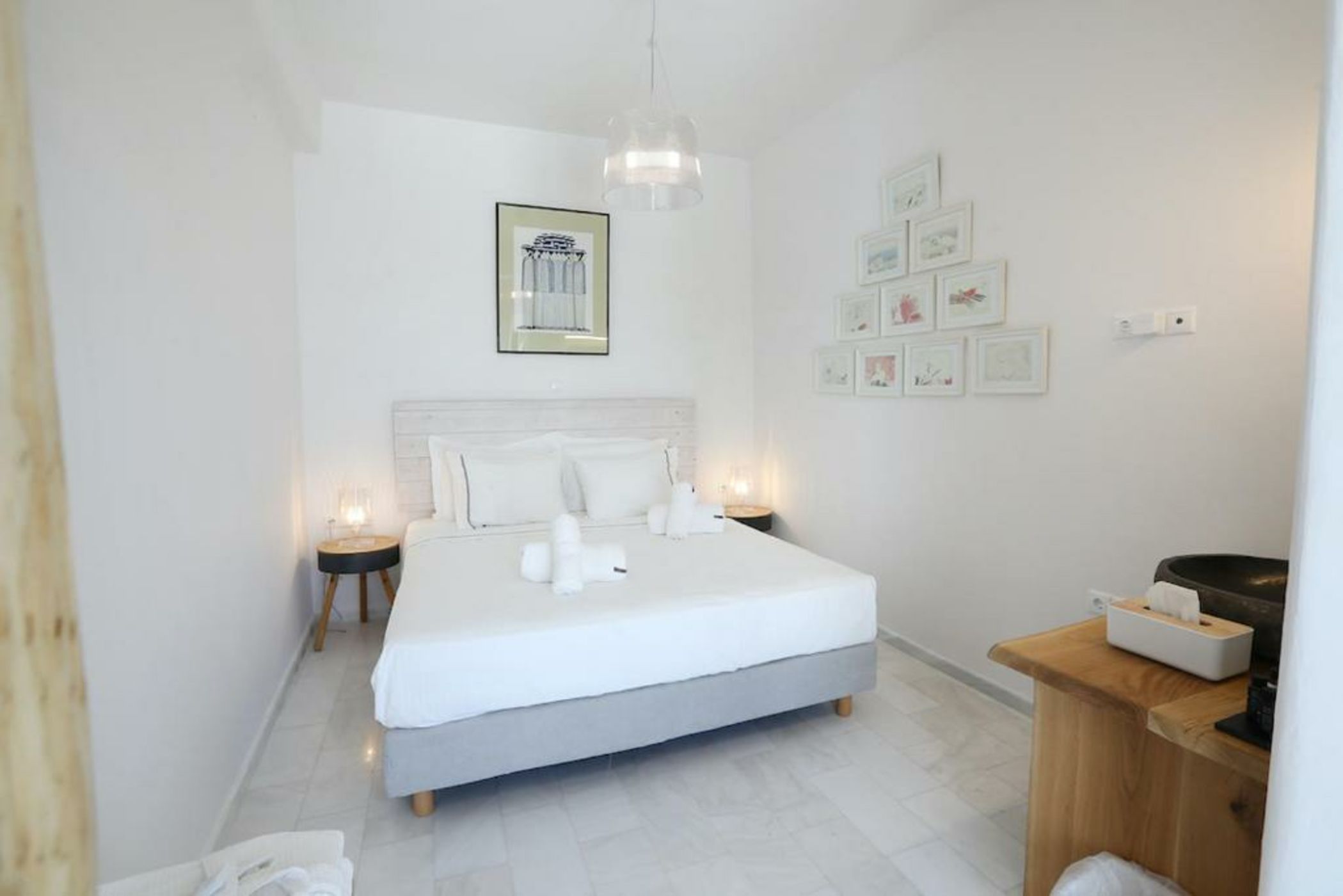 Your beloved Chrysanthemo Complex