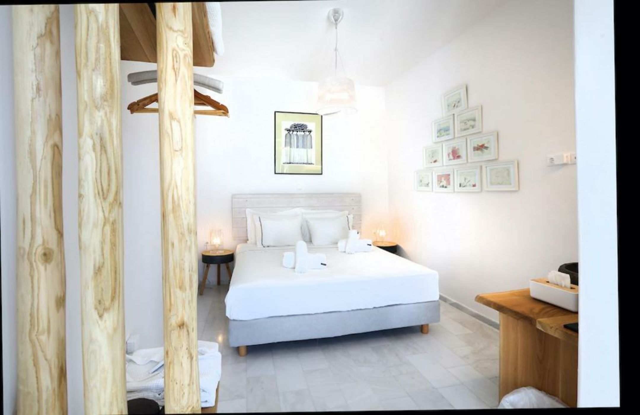 Your beloved Chrysanthemo Complex