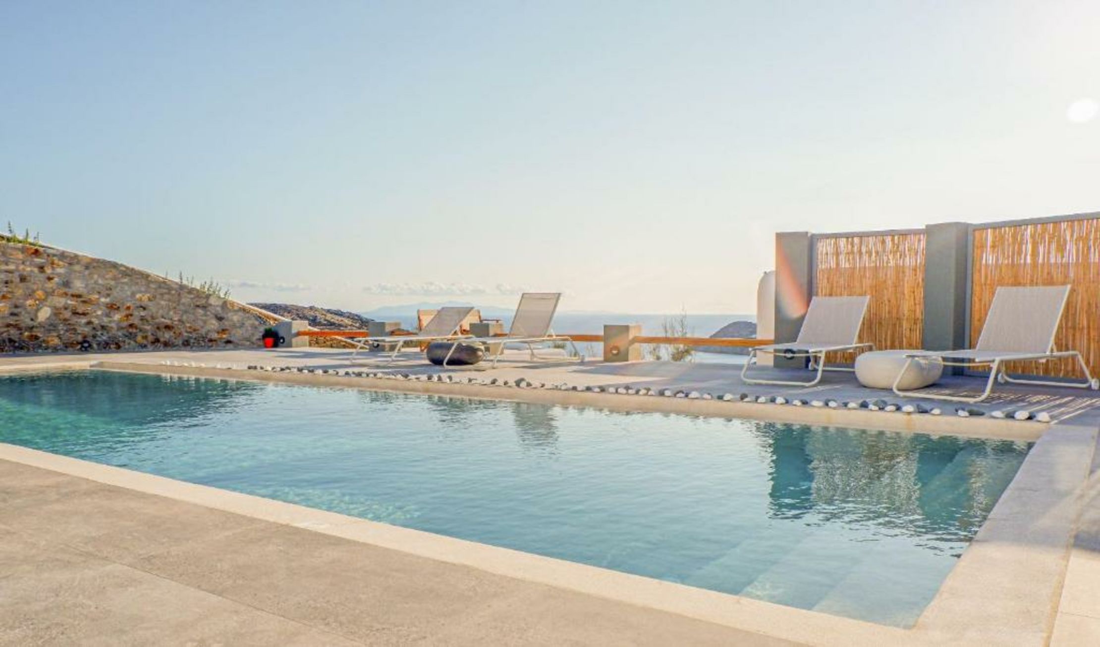 Your beloved Chrysanthemo Complex