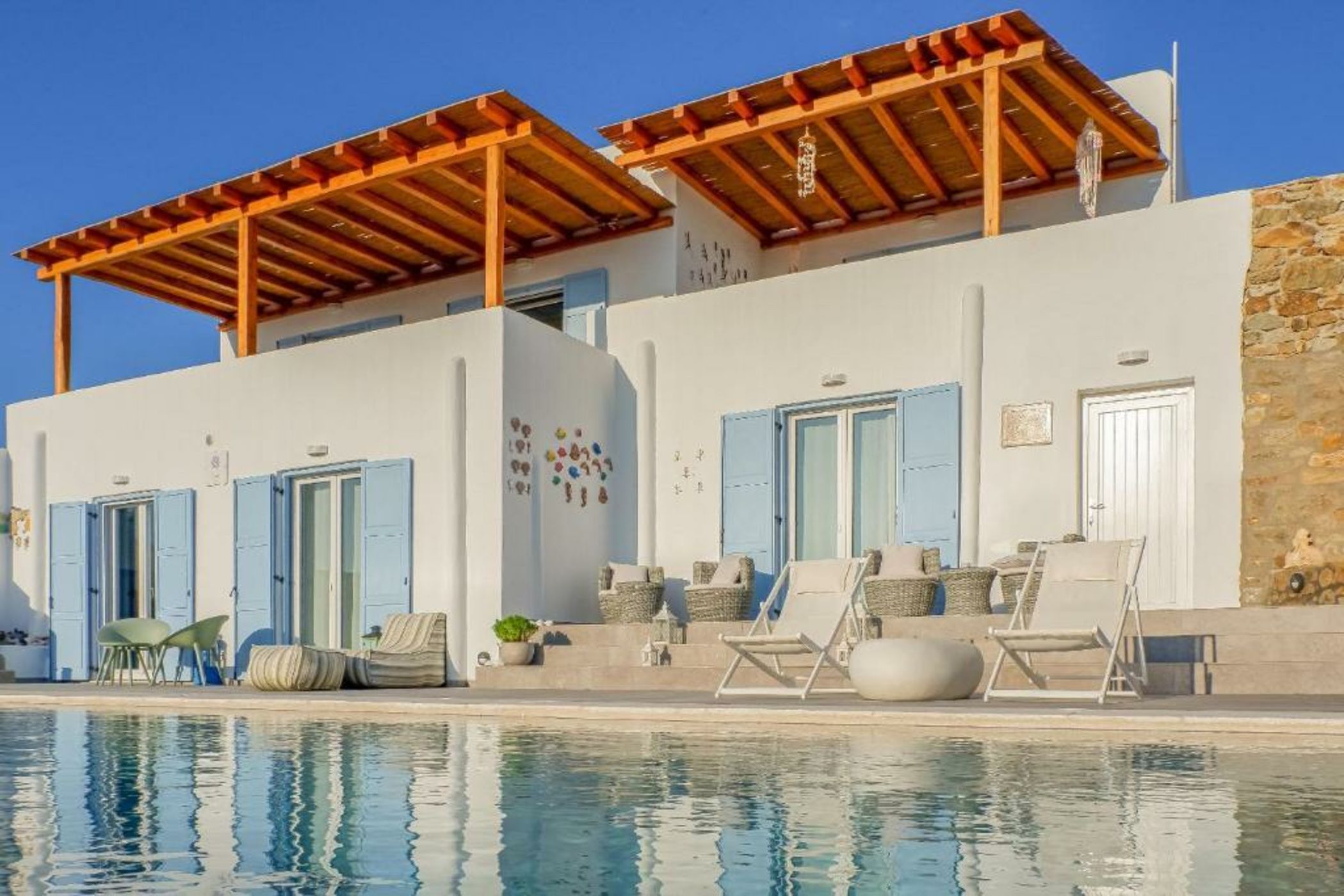 Your beloved Chrysanthemo Complex