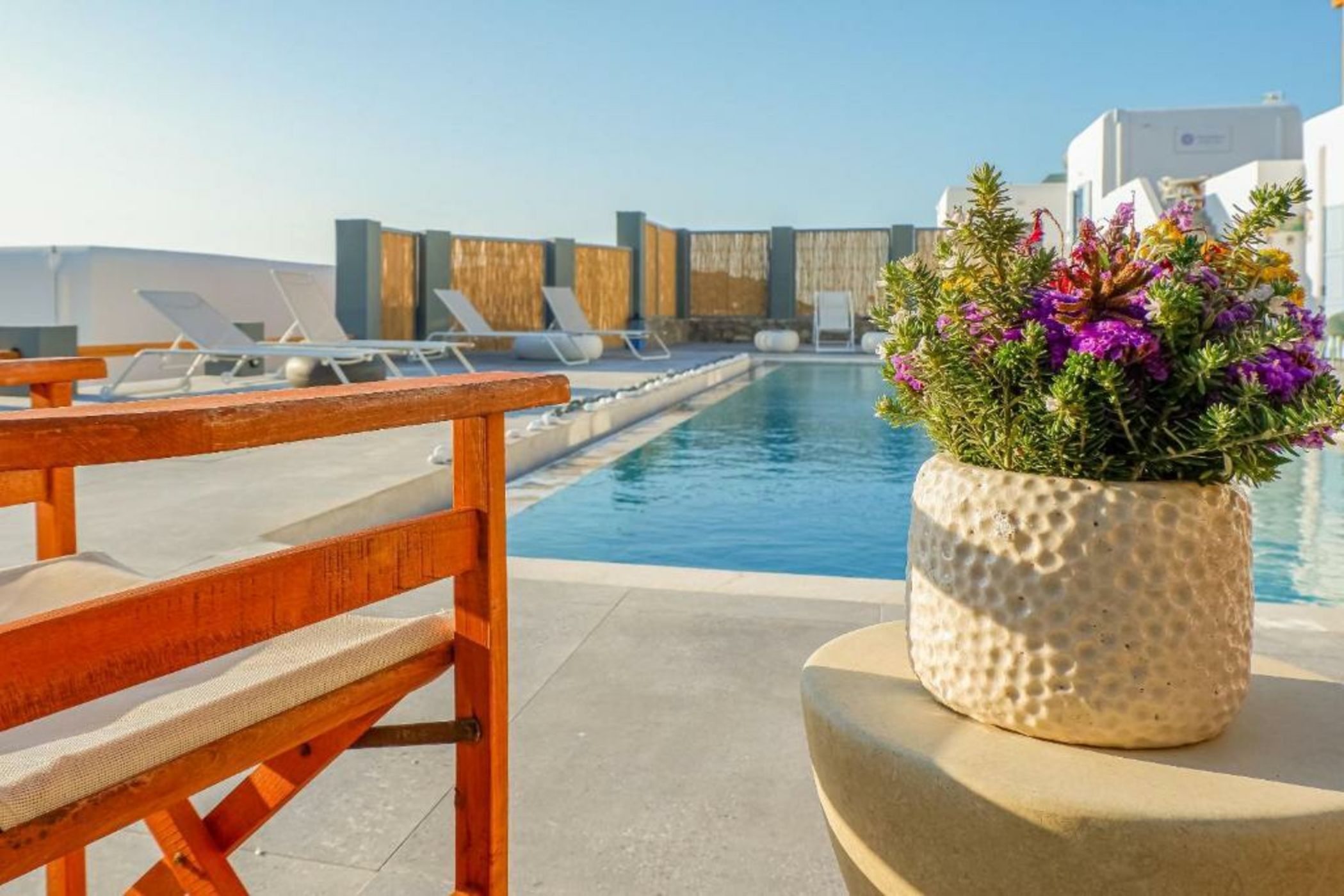 Your beloved Chrysanthemo Complex