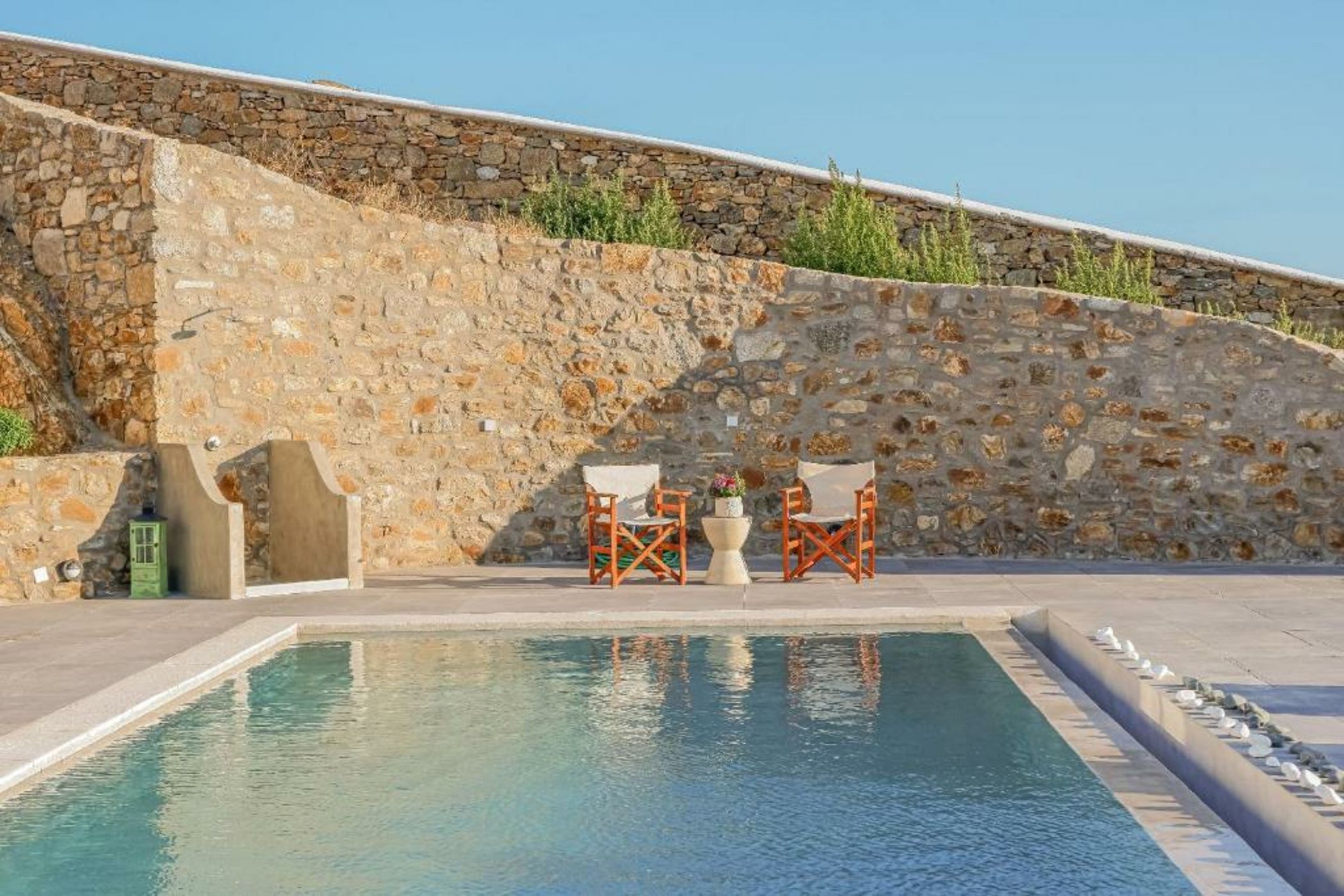 Your beloved Chrysanthemo Complex