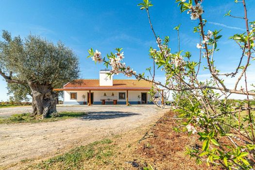 Villa Casanova