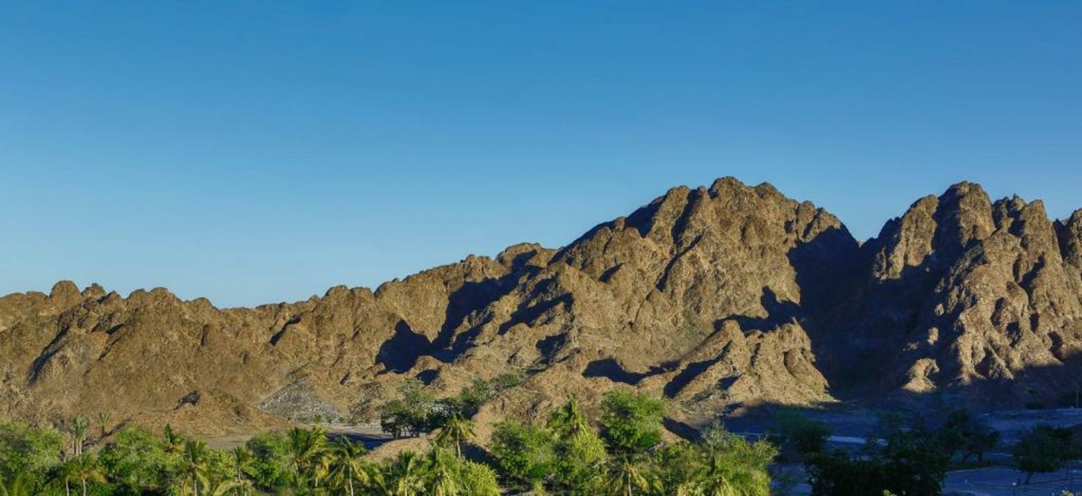 Al Bustan Palace, A Ritz-Carlton Hotel