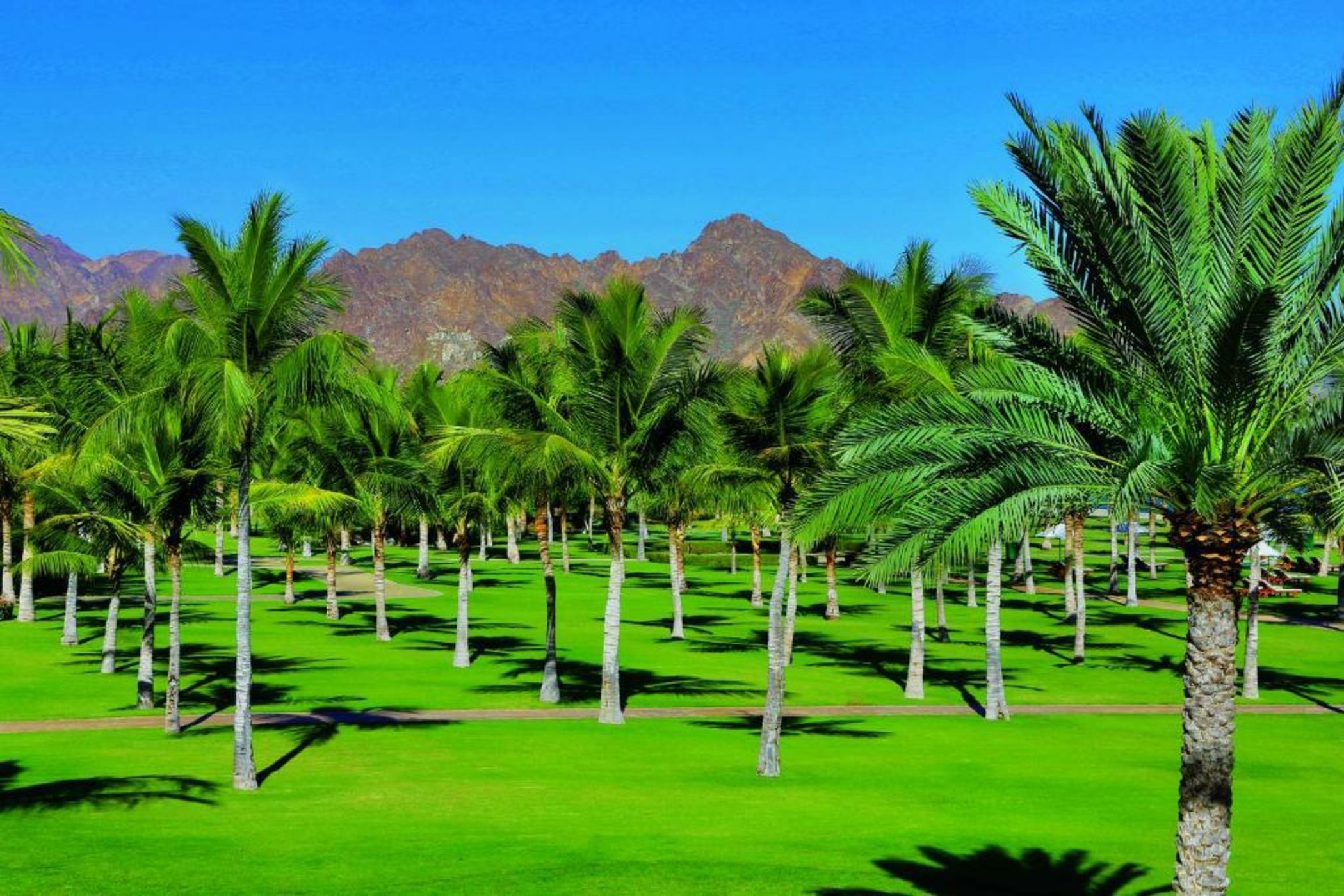 Al Bustan Palace, A Ritz-Carlton Hotel