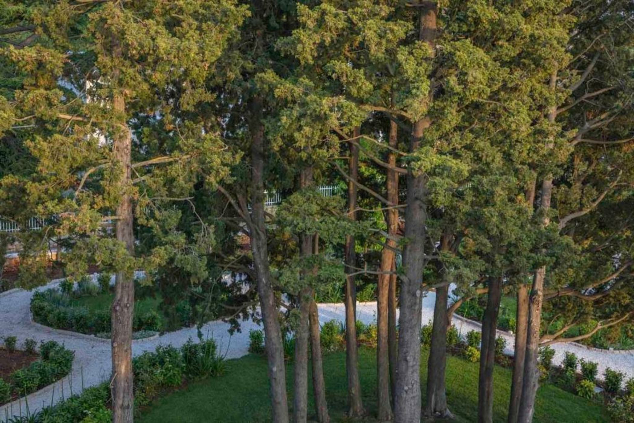 Borgo dei Lecci Puglia