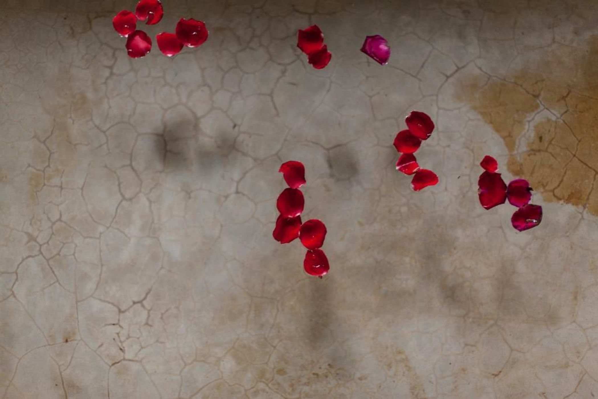 Room in BB - Suite Nomade in luxurious Riad - Marrakech Spa and Massage